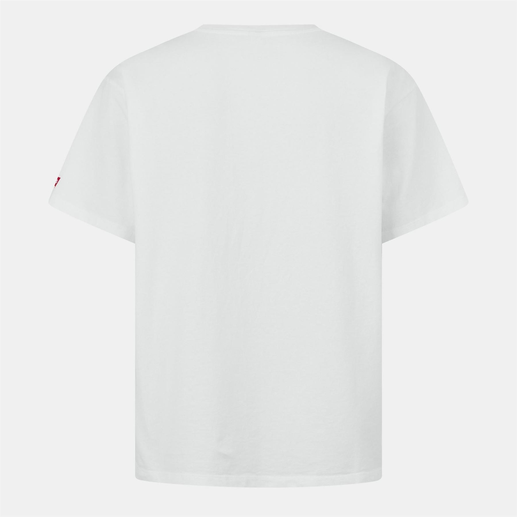 Levis Oasis Band Tee