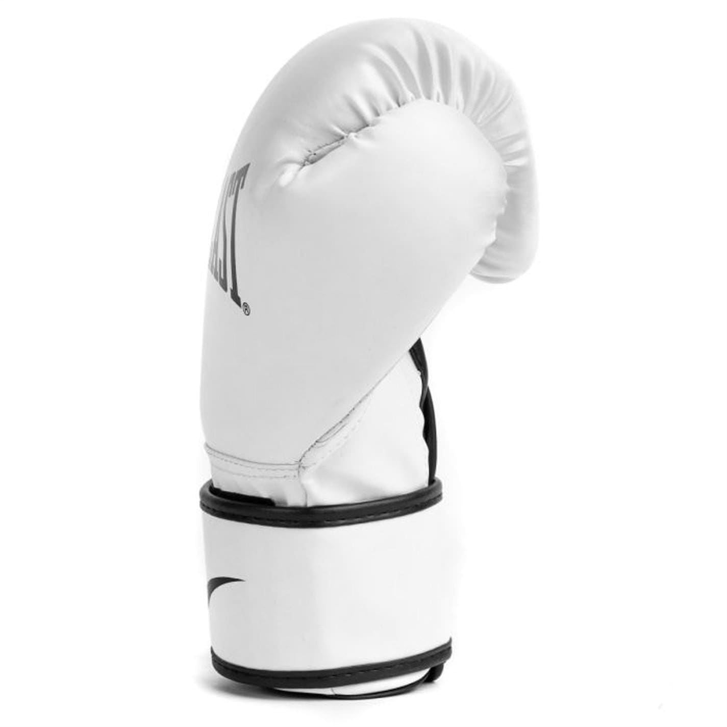 Everlast Core2 Boxing Glove