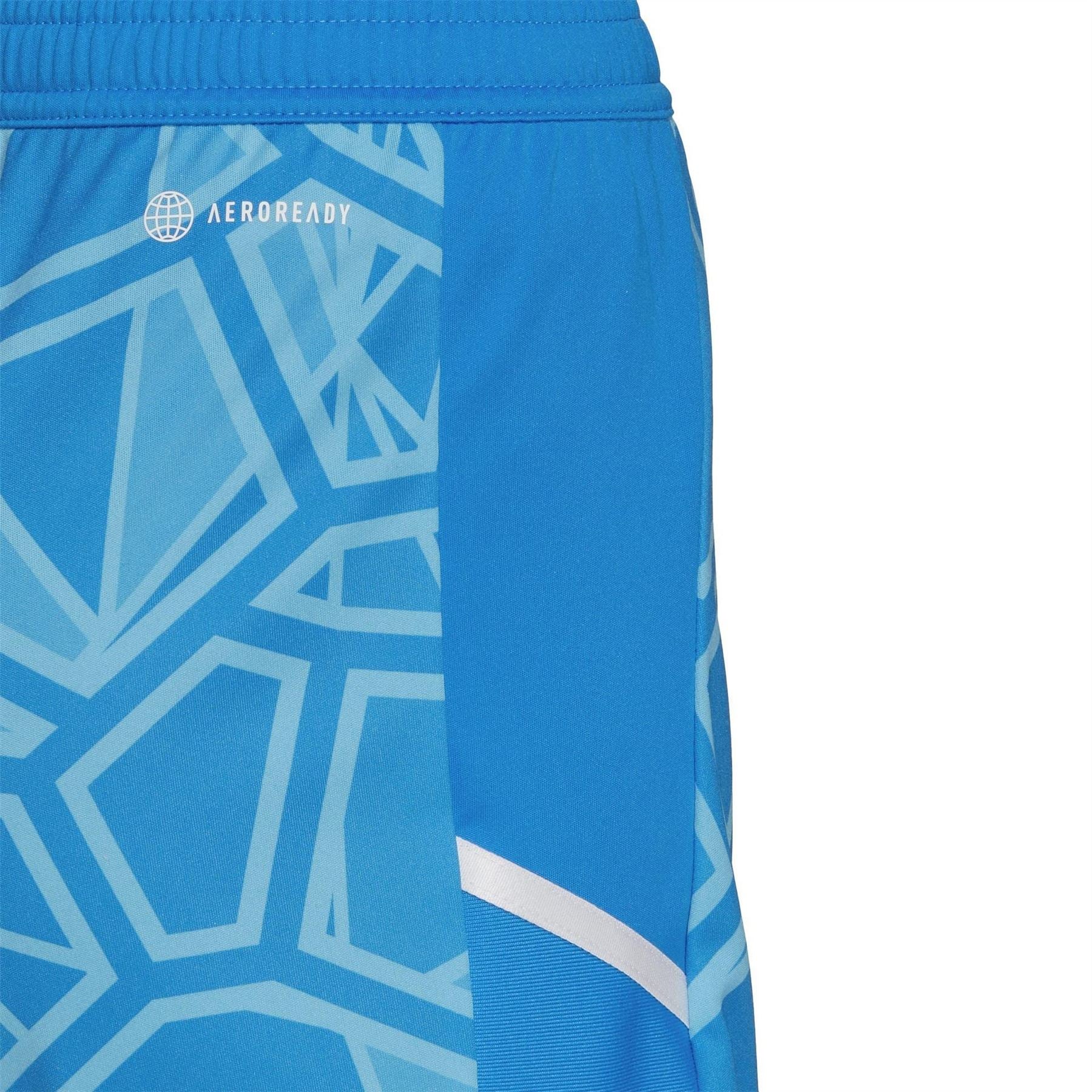 adidas Long Sleeve Goalkeeper Top