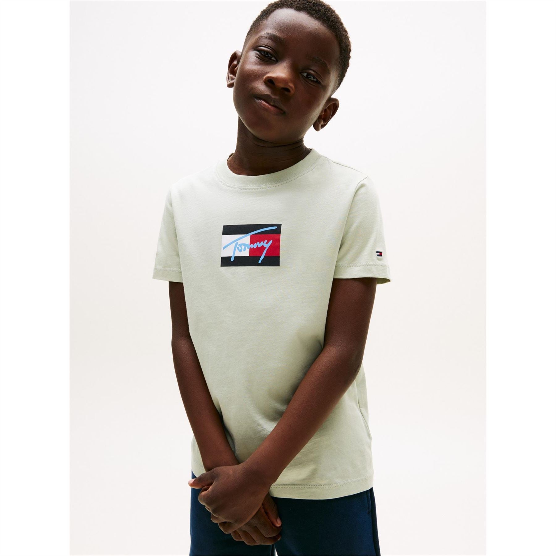 Tommy Hilfiger Script Timmy Regular Fit Short Sleeve T-Shirt