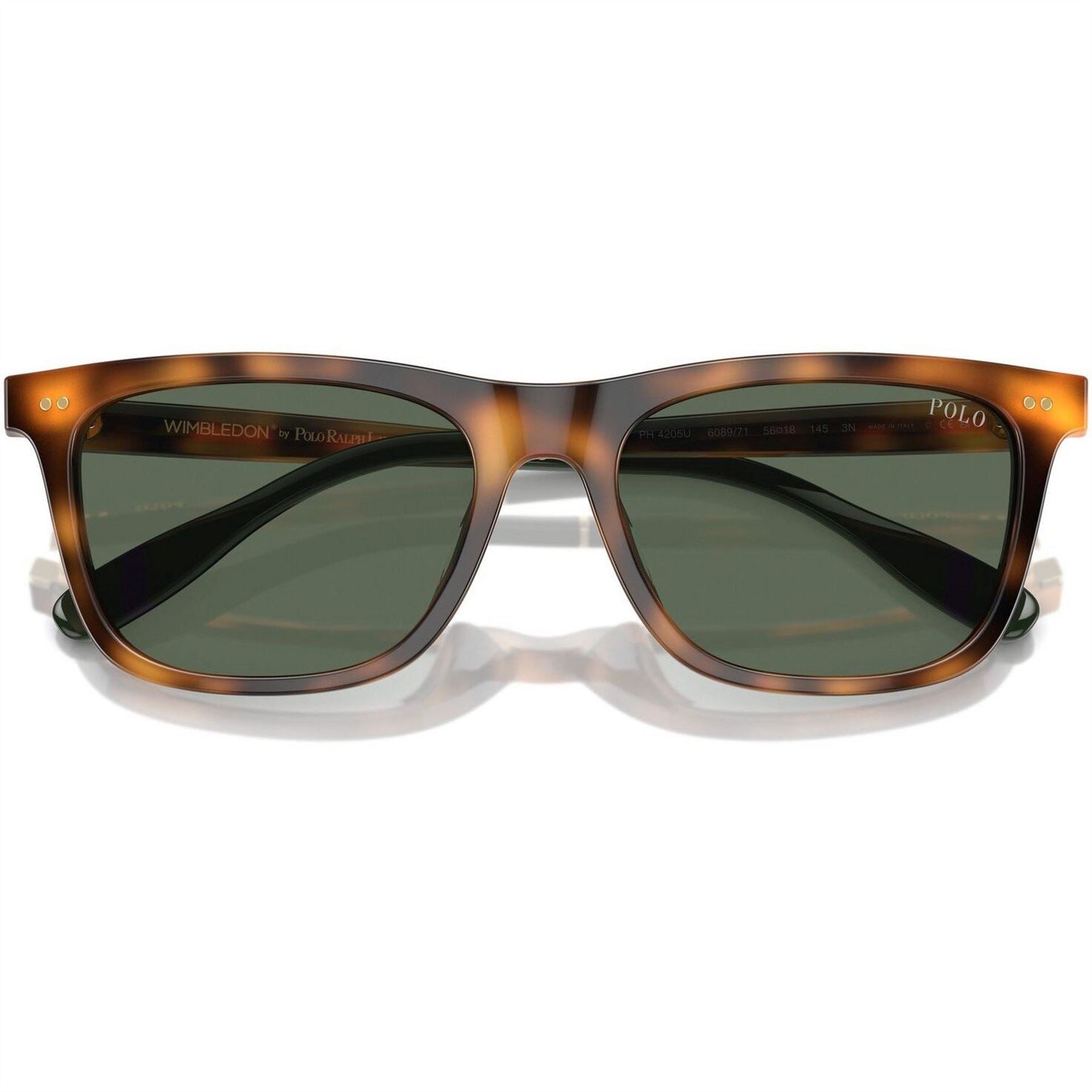 Polo Ralph Lauren 0ph4205u Wayfarer Sunglasses