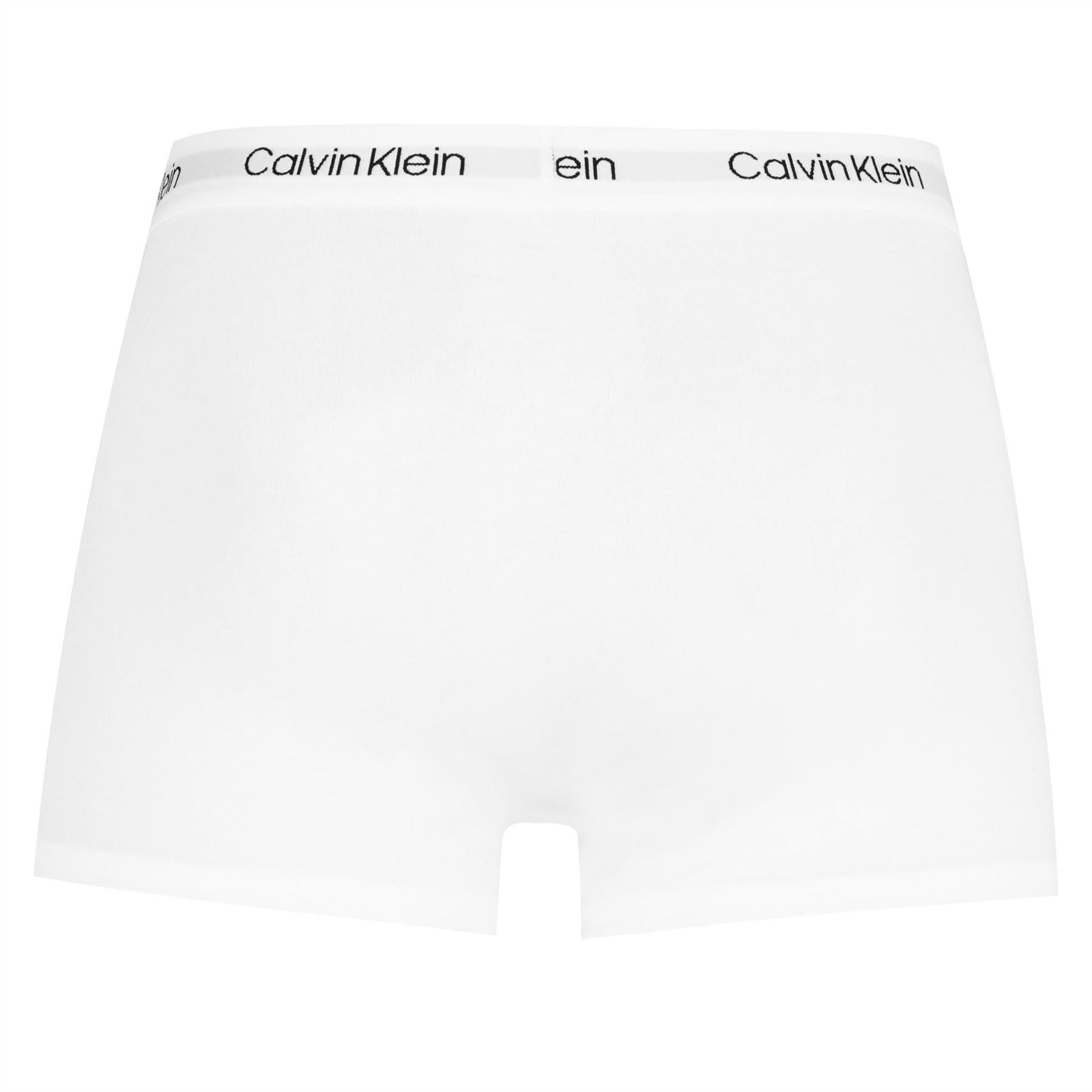Calvin Klein 2 Pack Trunks
