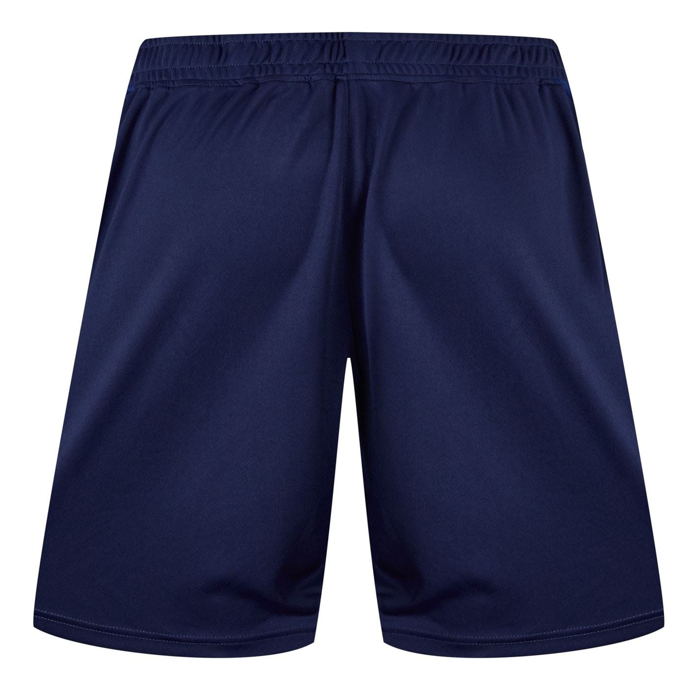 Castore Scarlets Training Shorts 2024 2025 Adults