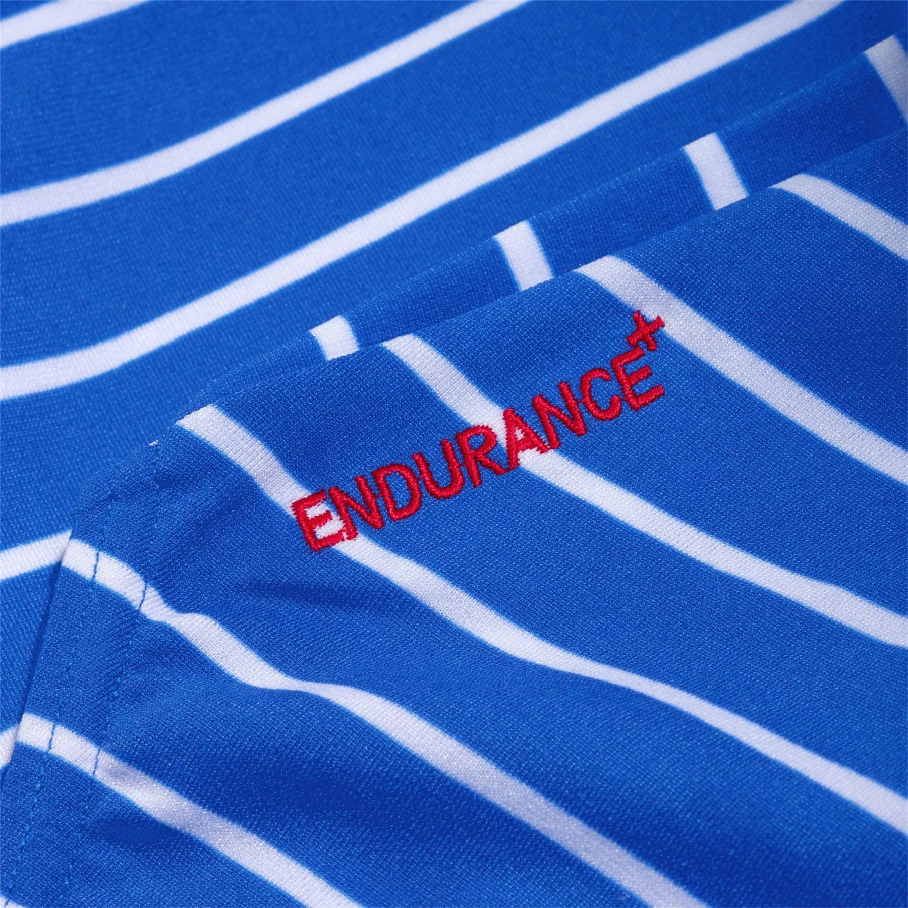 Speedo Endurance Horizontal Stripe Swimsuit