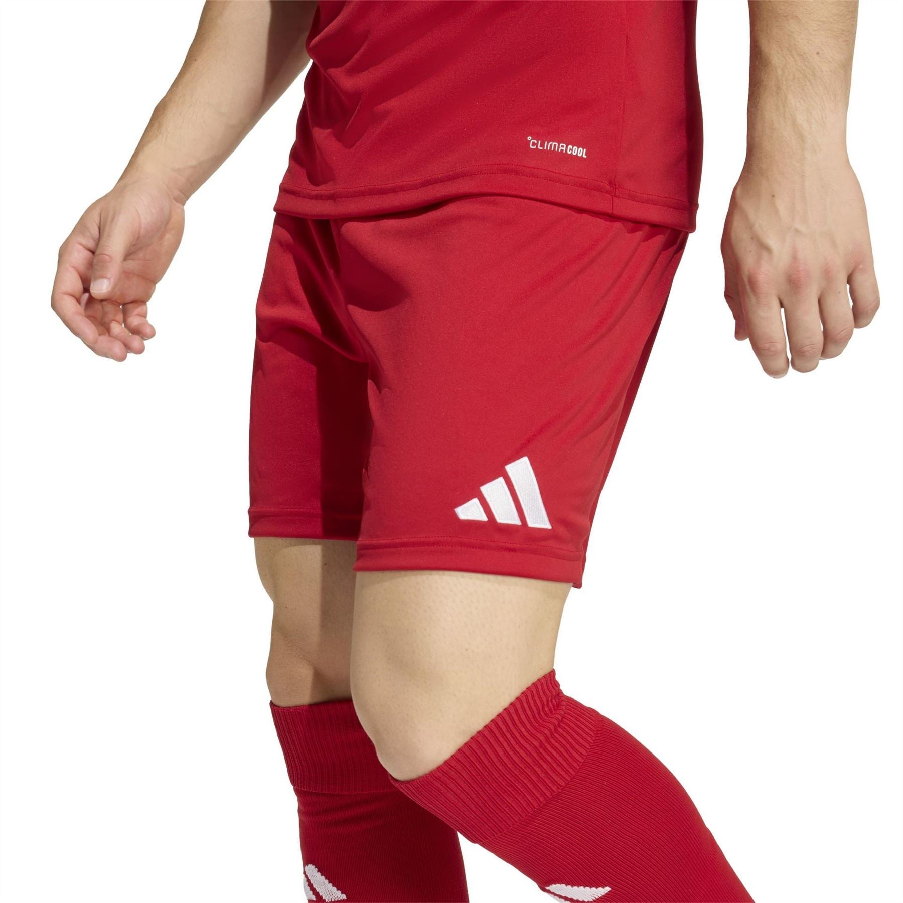 adidas Mens Entrada 22 Shorts