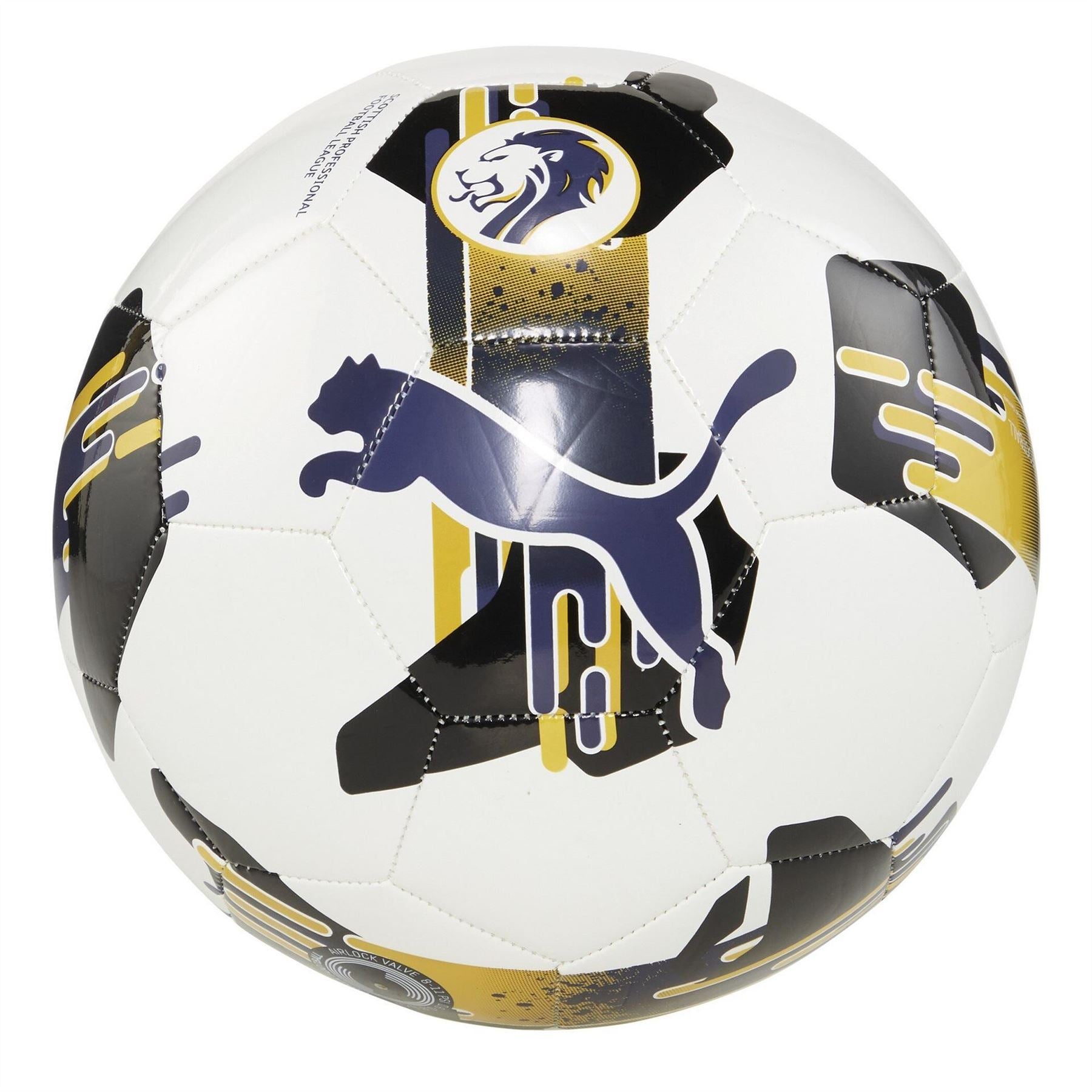 Puma Orbita 6 Spfl Football 2024 2025