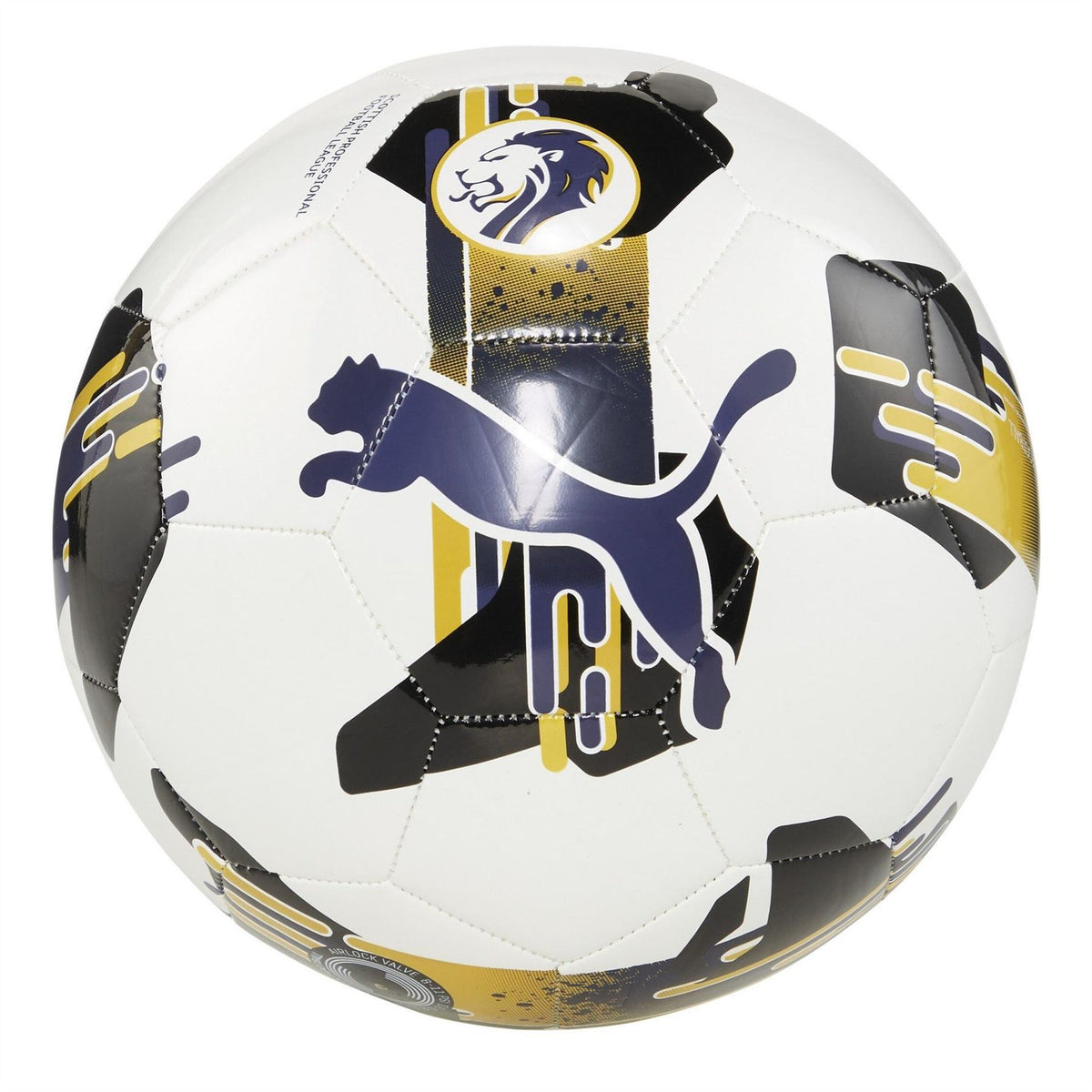 Puma Orbita 6 Spfl Football 2024 2025