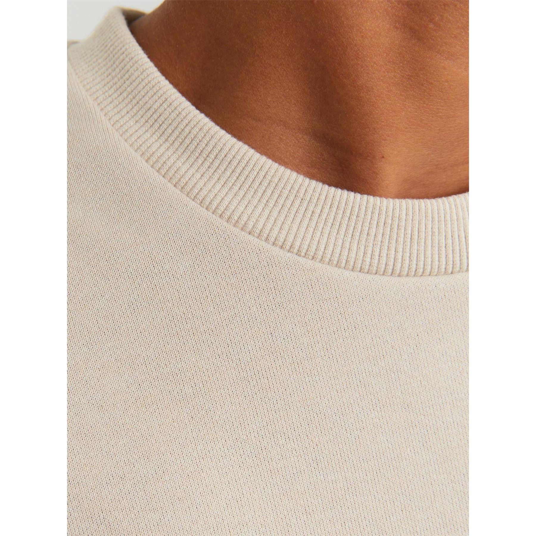 Jack and Jones Crew Neck Regular Fit Long Sleeve Sweater