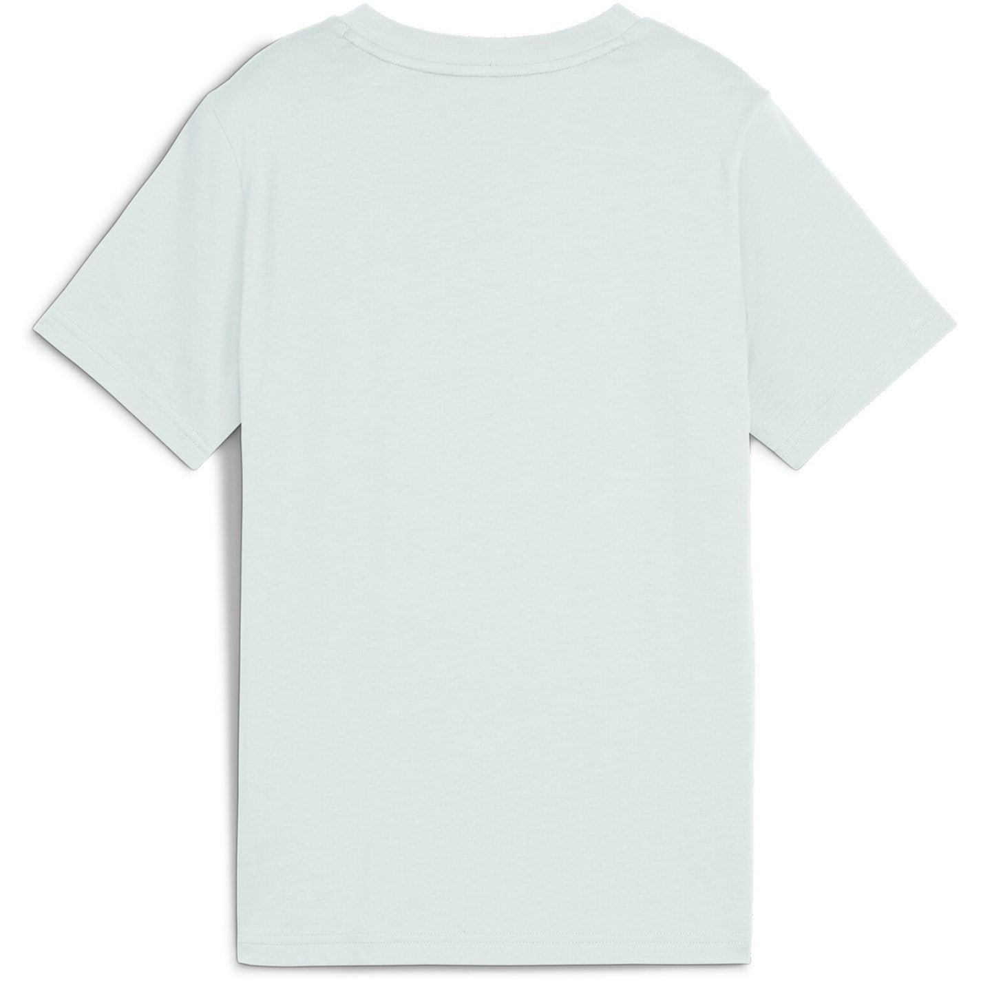 Puma Essentials Graphic Regular Fit T Shirt