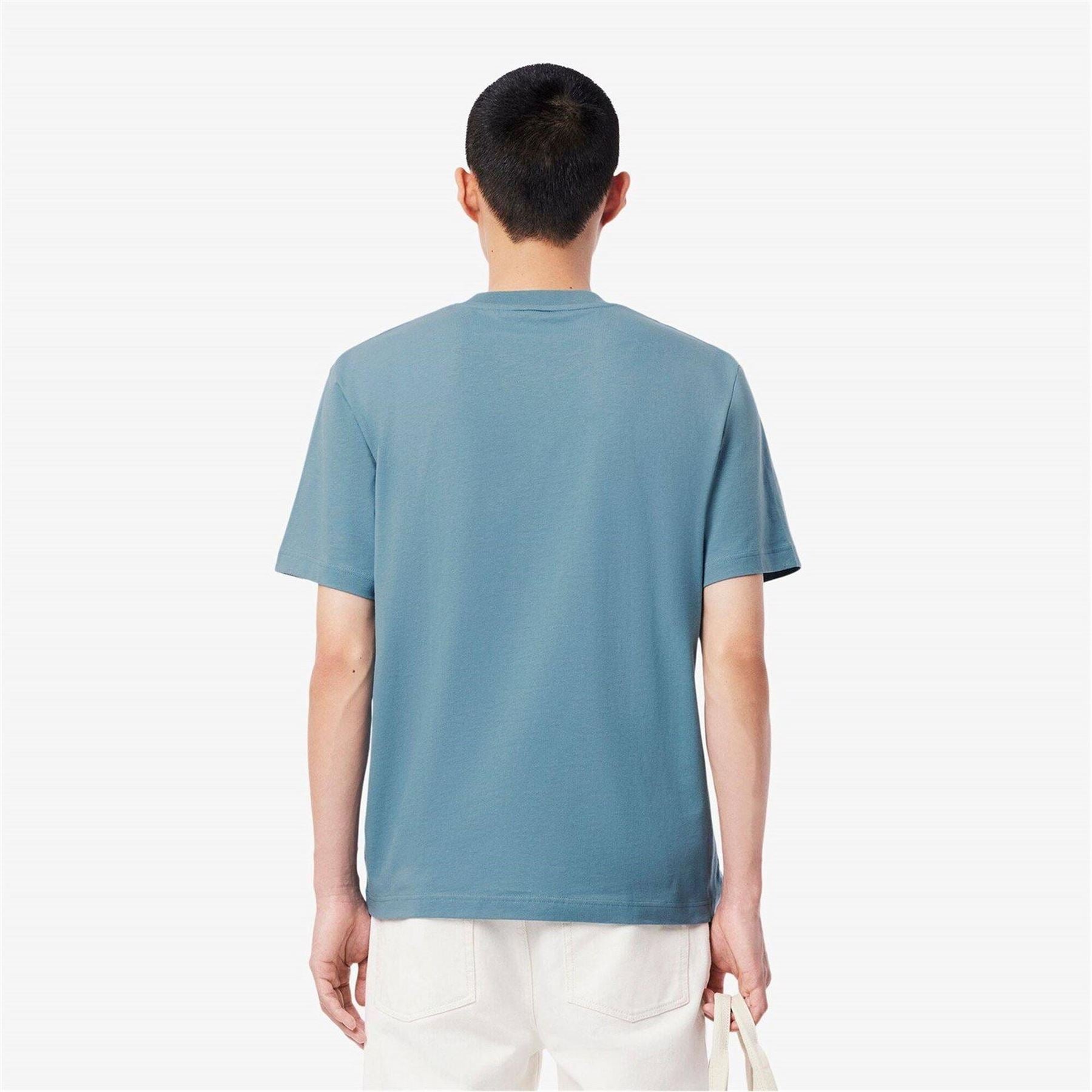 Lacoste Regular Fit Small Logo T-Shirt
