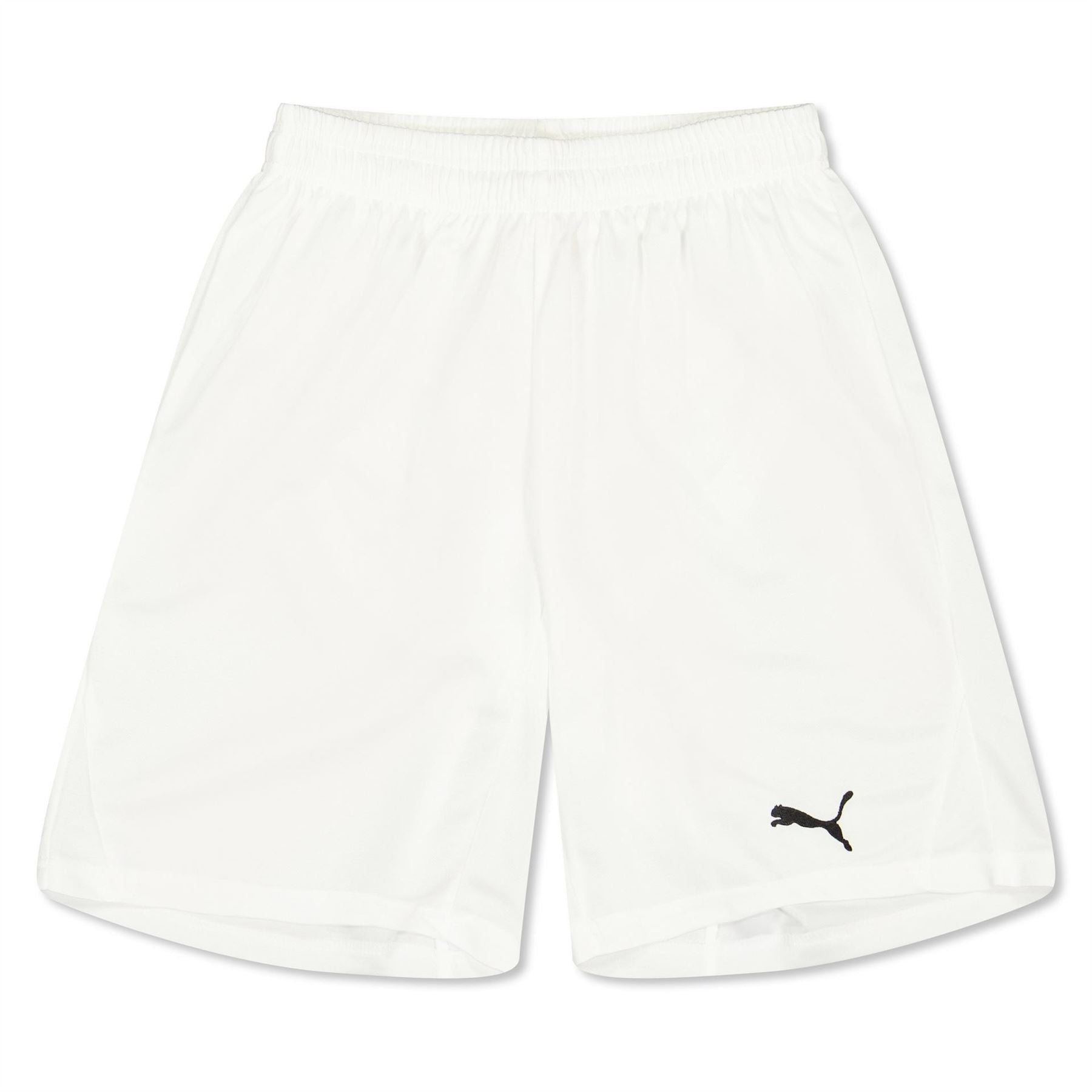 Puma Fb Team Shorts With Brief Juniors