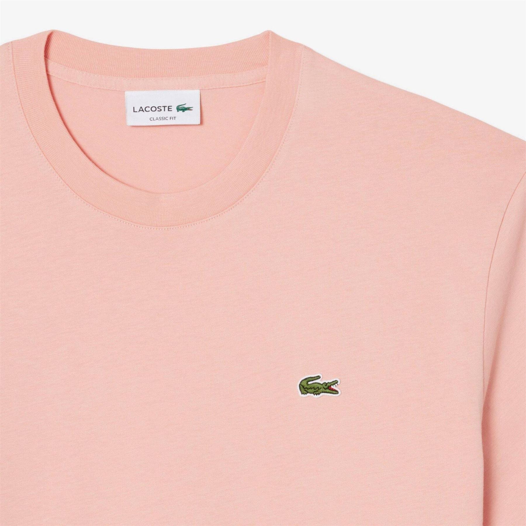 Lacoste Regular Fit Small Logo T-Shirt