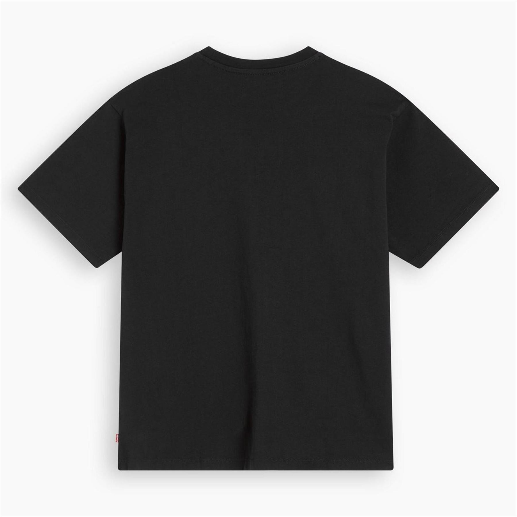 Levis Fit Graphic T-Shirt