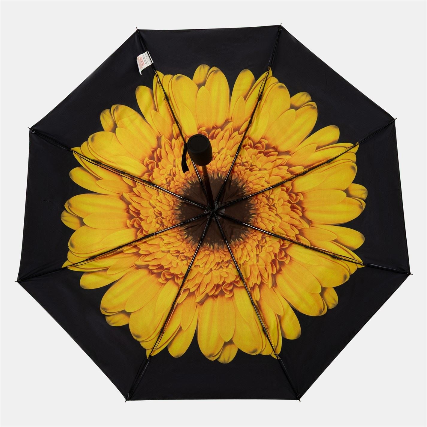 Linea 2 Lyr Umbrella 54