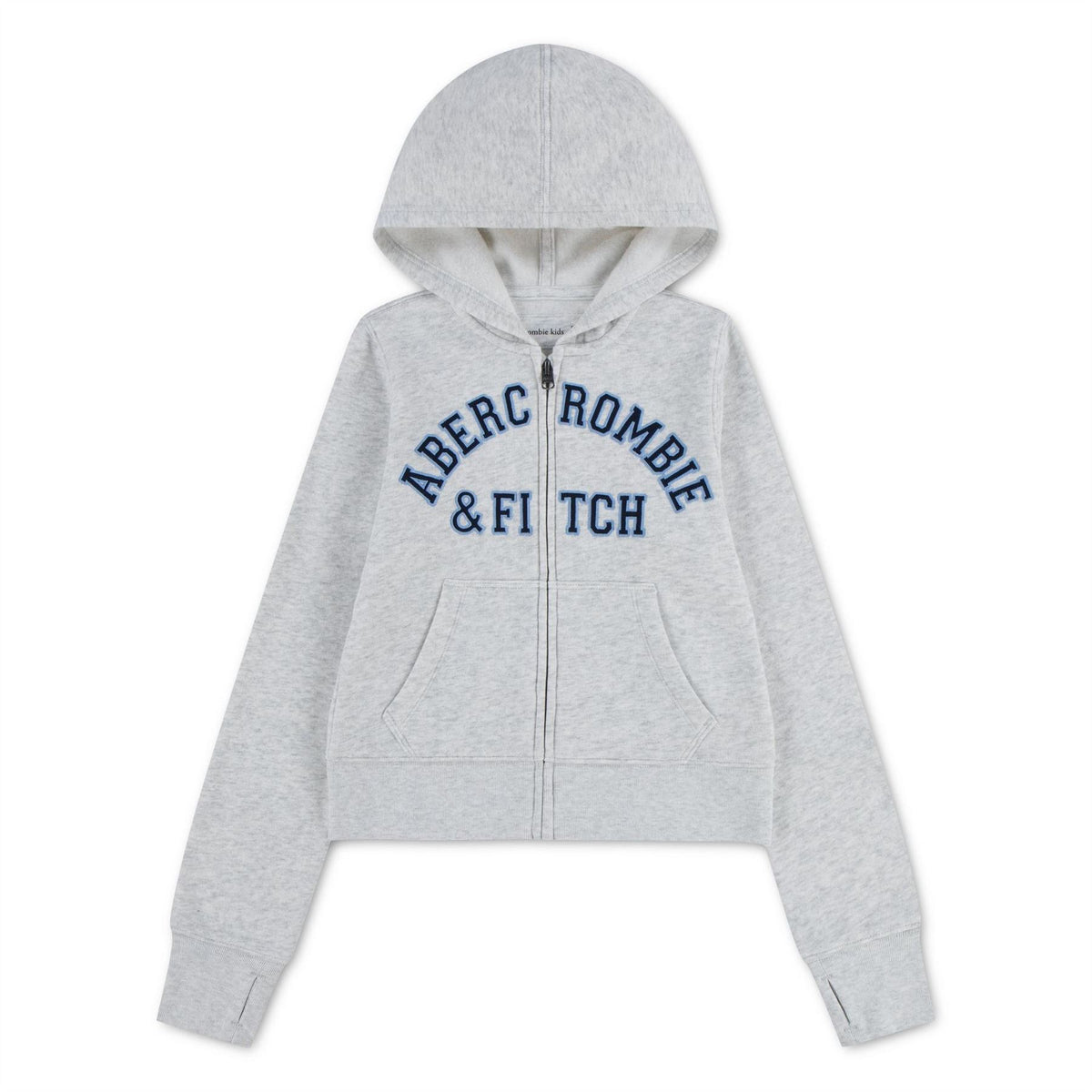 Abercrombie and Fitch And F Lg Full Zp H Jn64