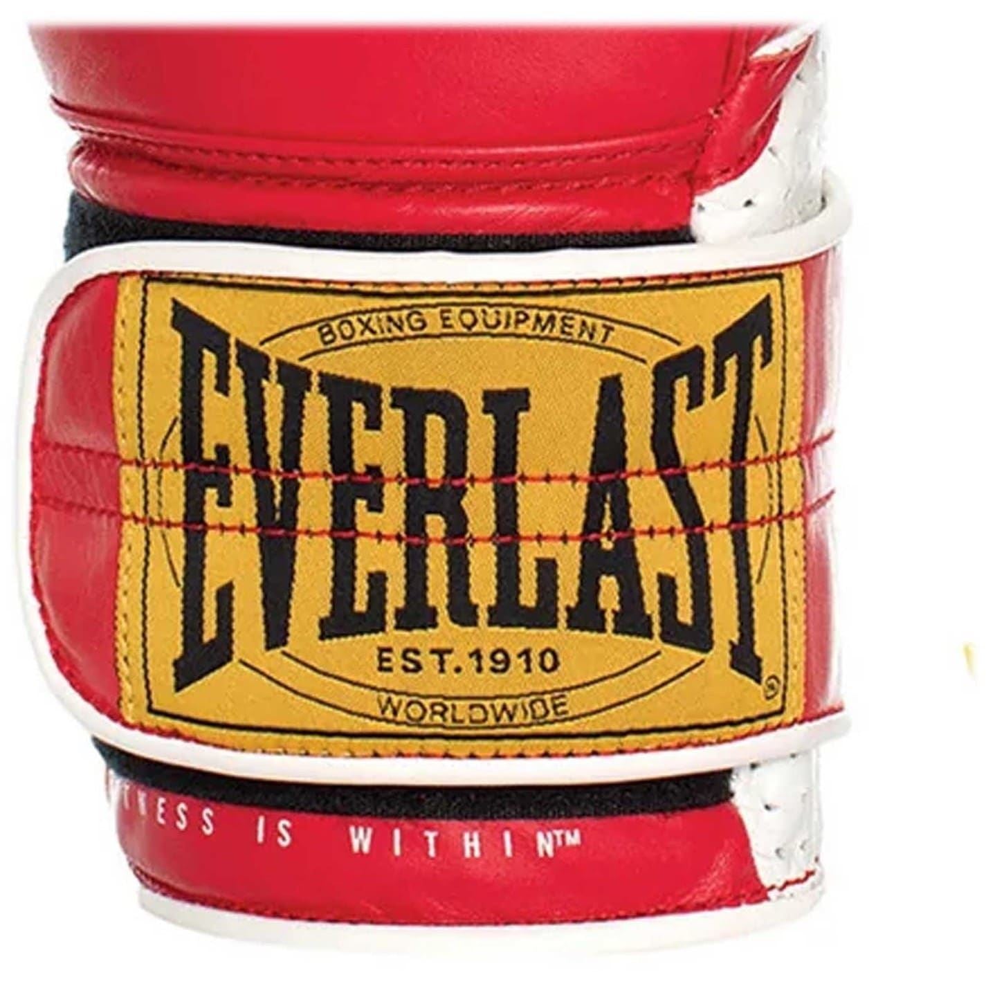 Everlast 1910 Sparring Glove