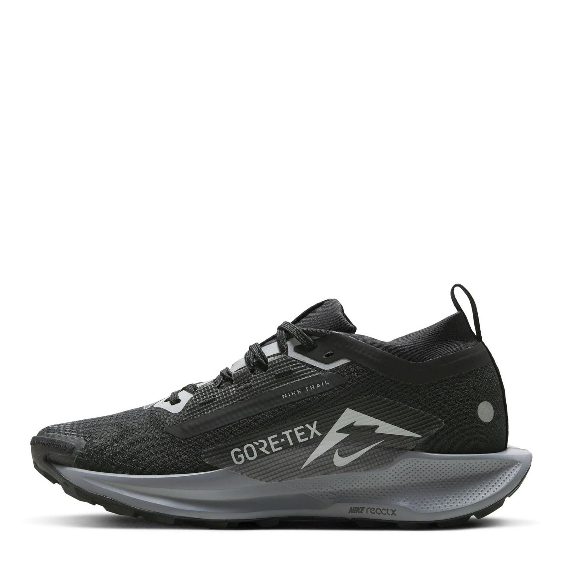 Nike Pegasus Trail 5 Gore Tex Flat Heel Trainers