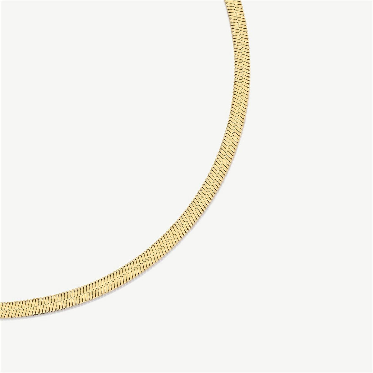 D.Louise Snake Chain Necklace
