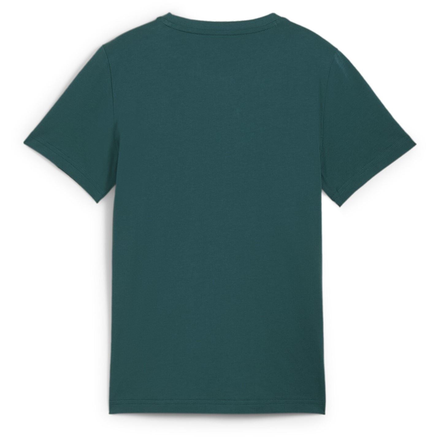 Puma Regular Fit Crew Neck Graphic T-Shirt