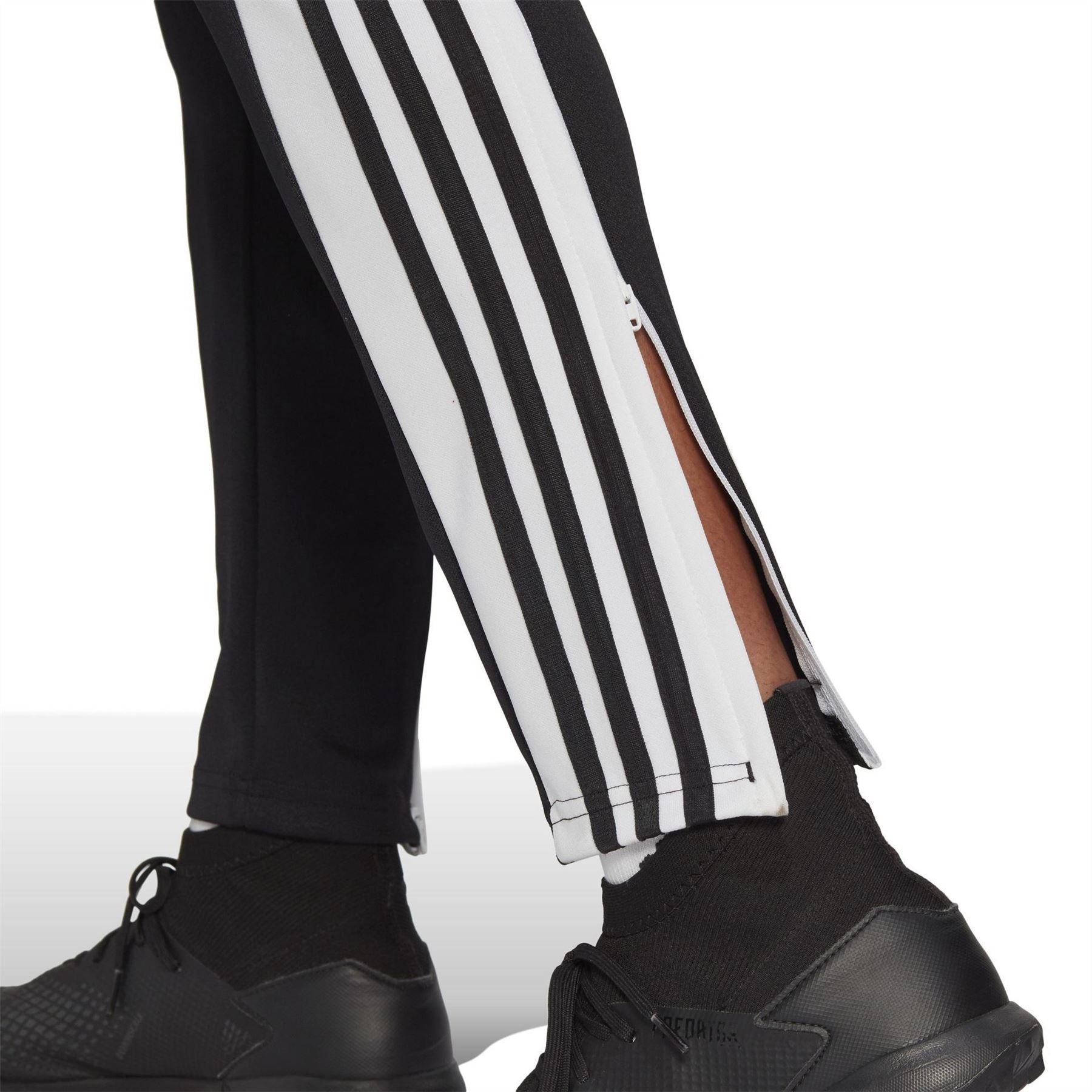 adidas Pant