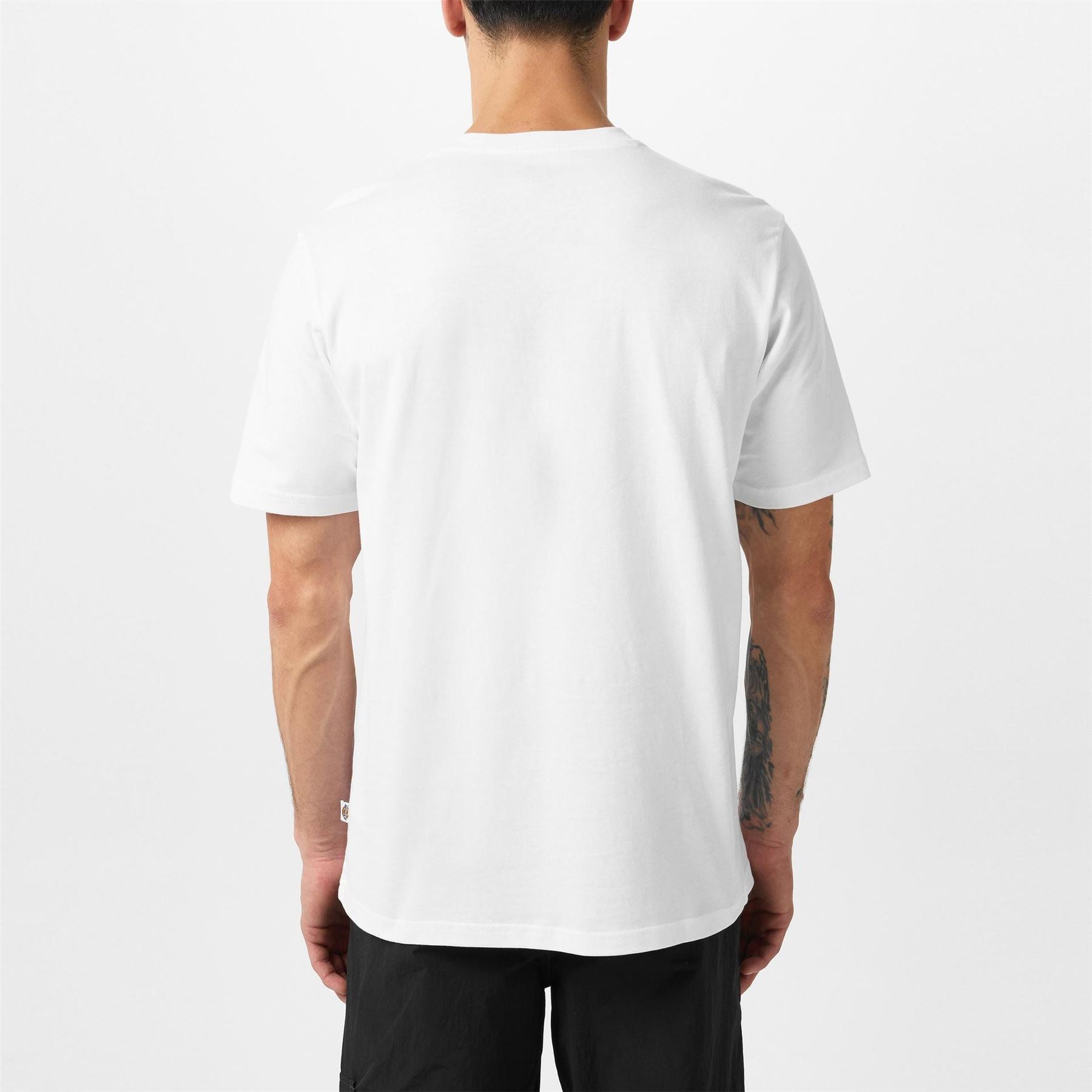 Dickies Regular Fit Mapleton T-Shirt