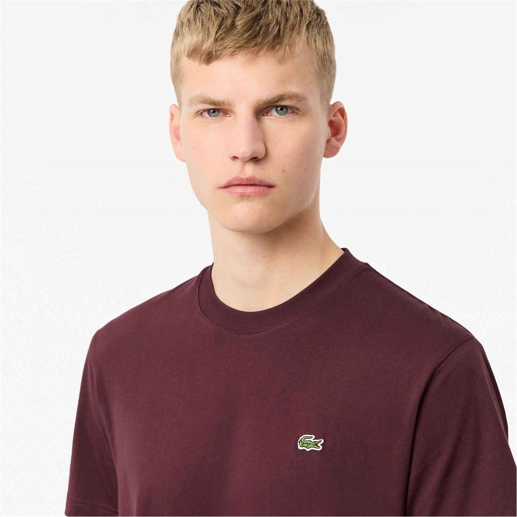 Lacoste Regular Fit Small Logo T-Shirt