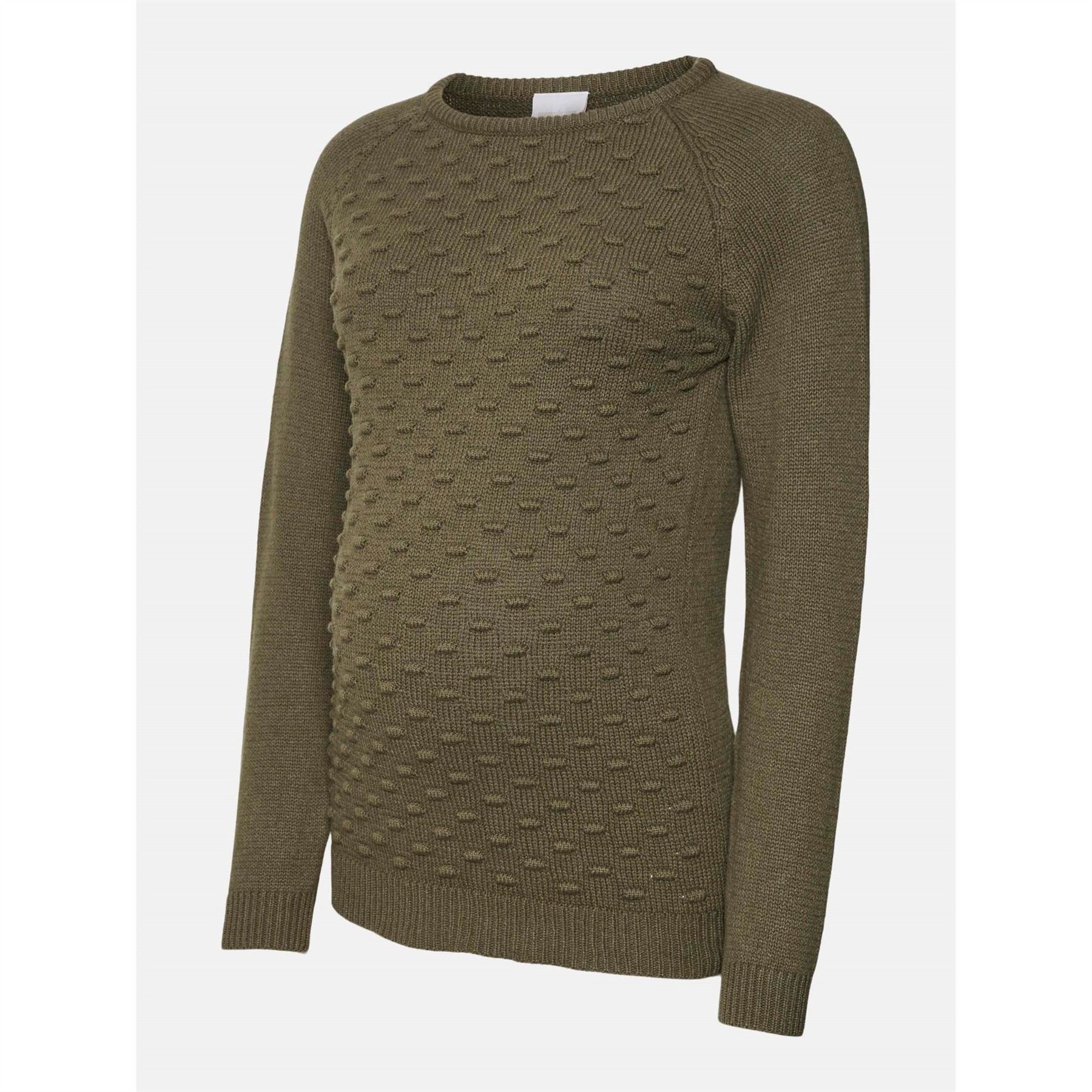 Mamalicious Crew Neck Raglan Sleeve Sweatshirt