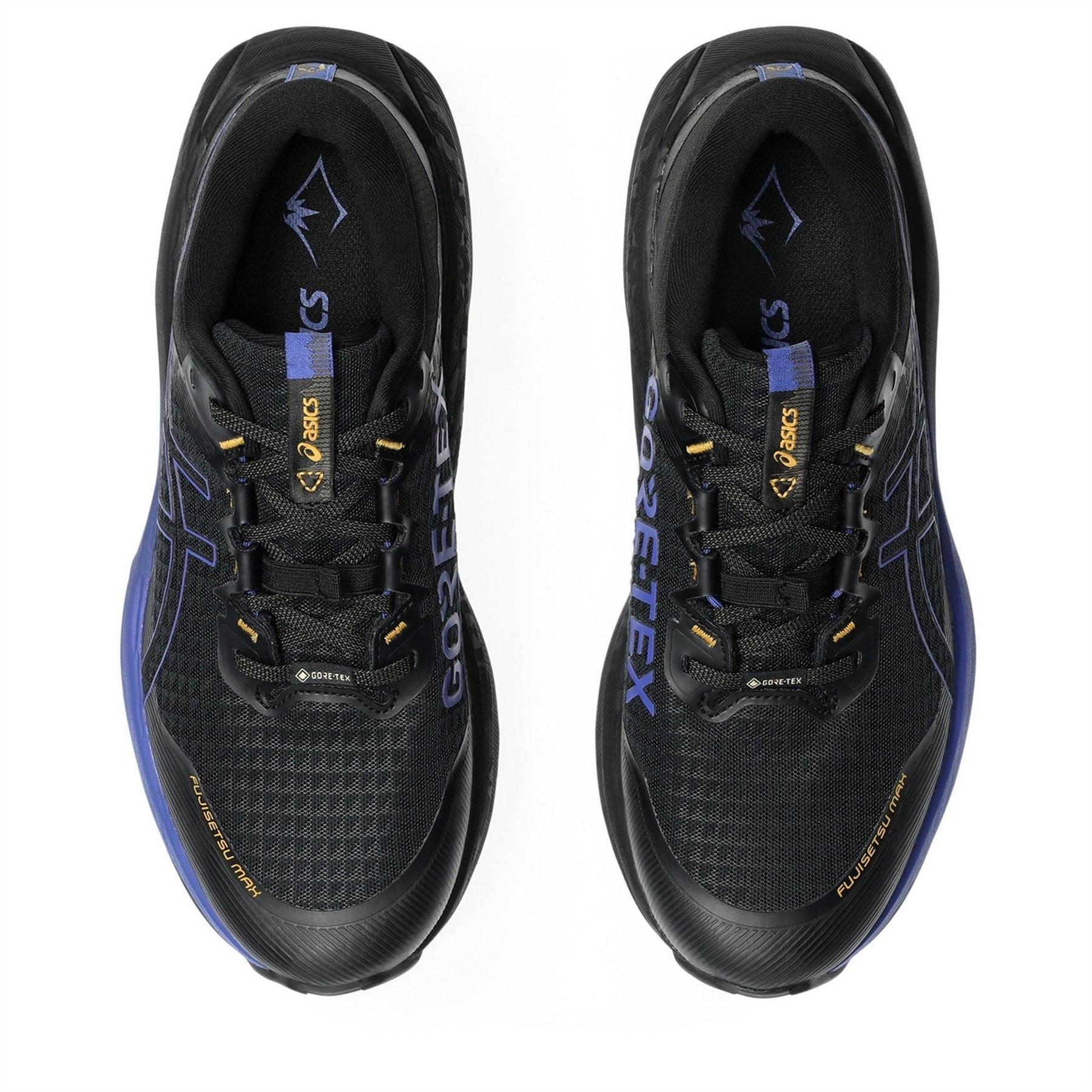 Asics Mens Max GorE-Tex Trail Running Shoes