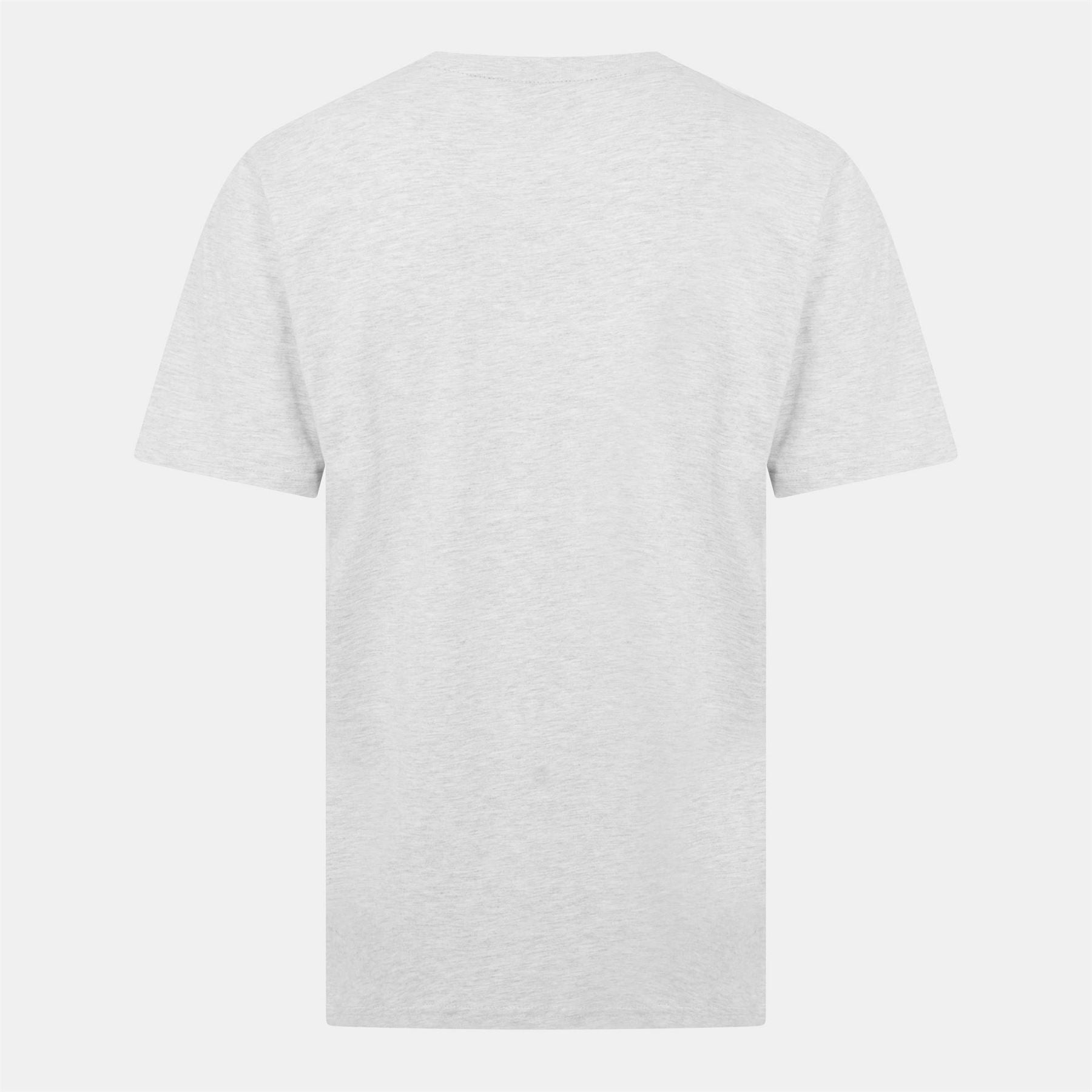 Threadbare Greenhll Graphic Regular Fit T-Shirt