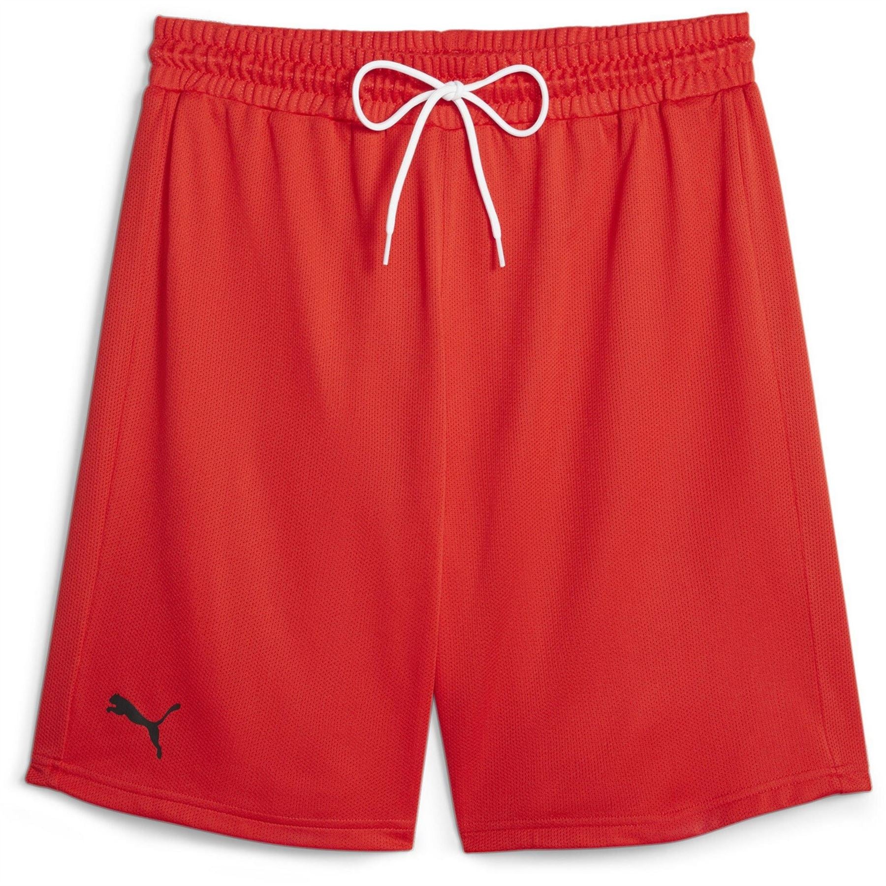Puma Hoops Team Practice Basketball Shorts