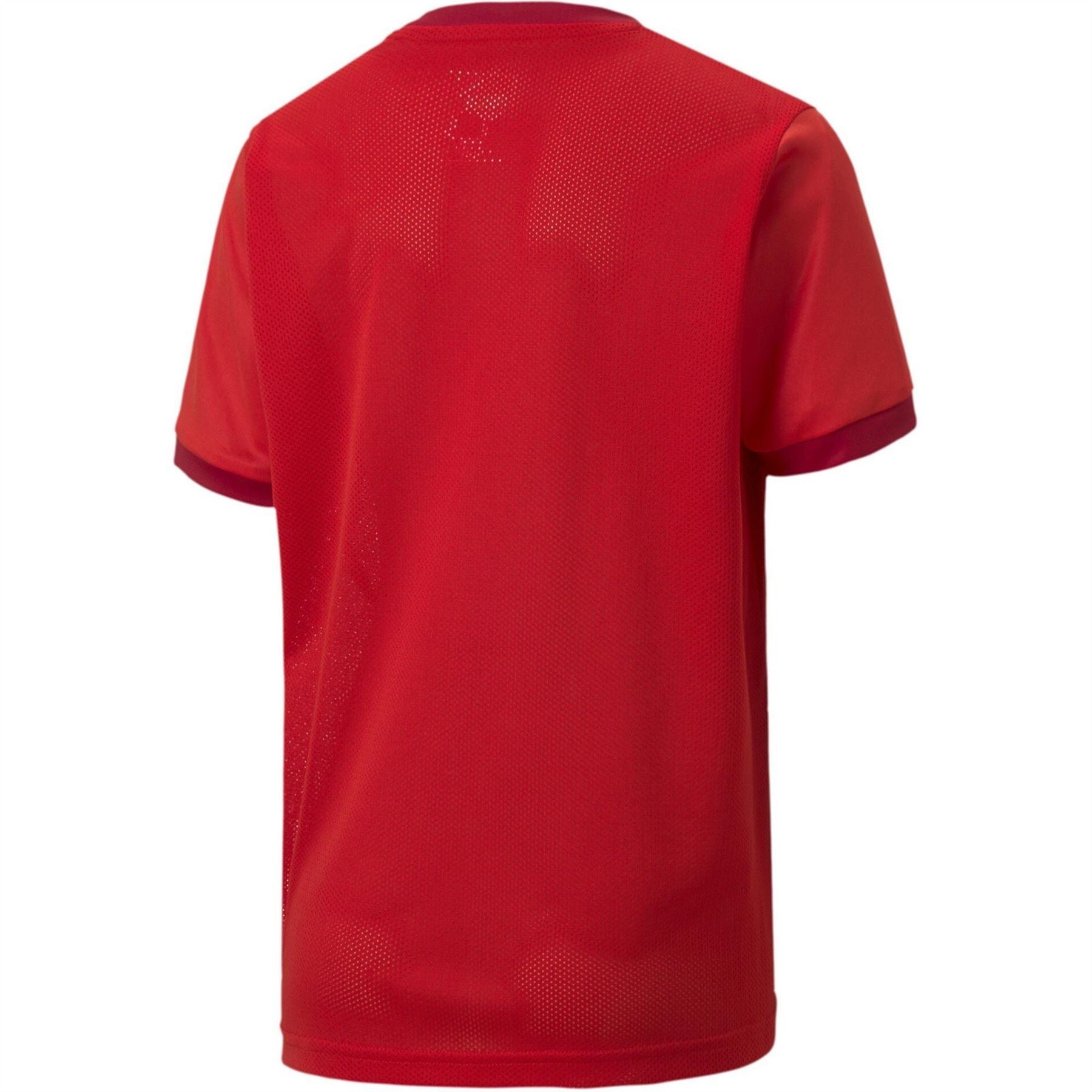 Puma Teamgoal 23 Short Sleeve Performance Gym Top