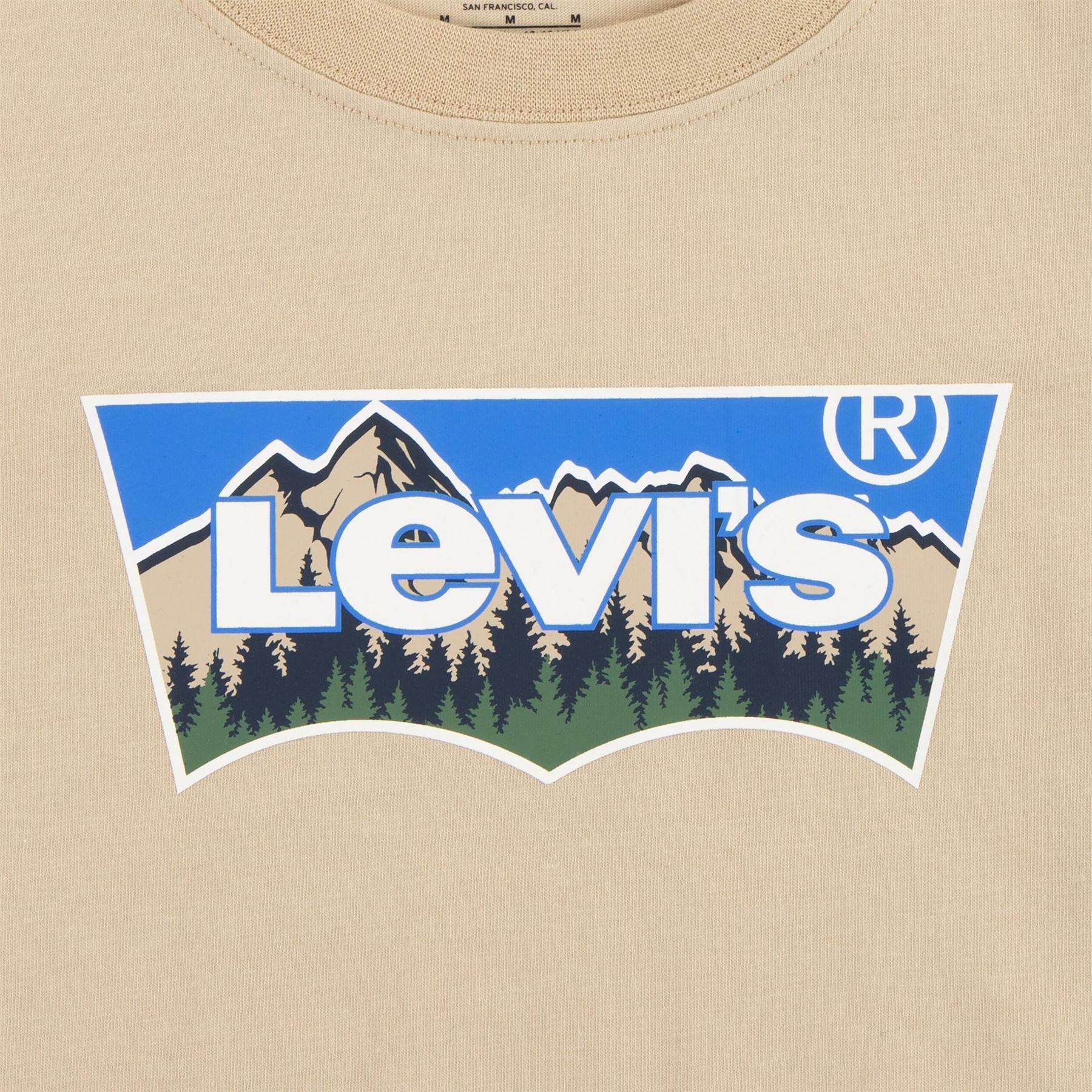 Levis Batwing Regular Fit Crew Neck T-Shirt