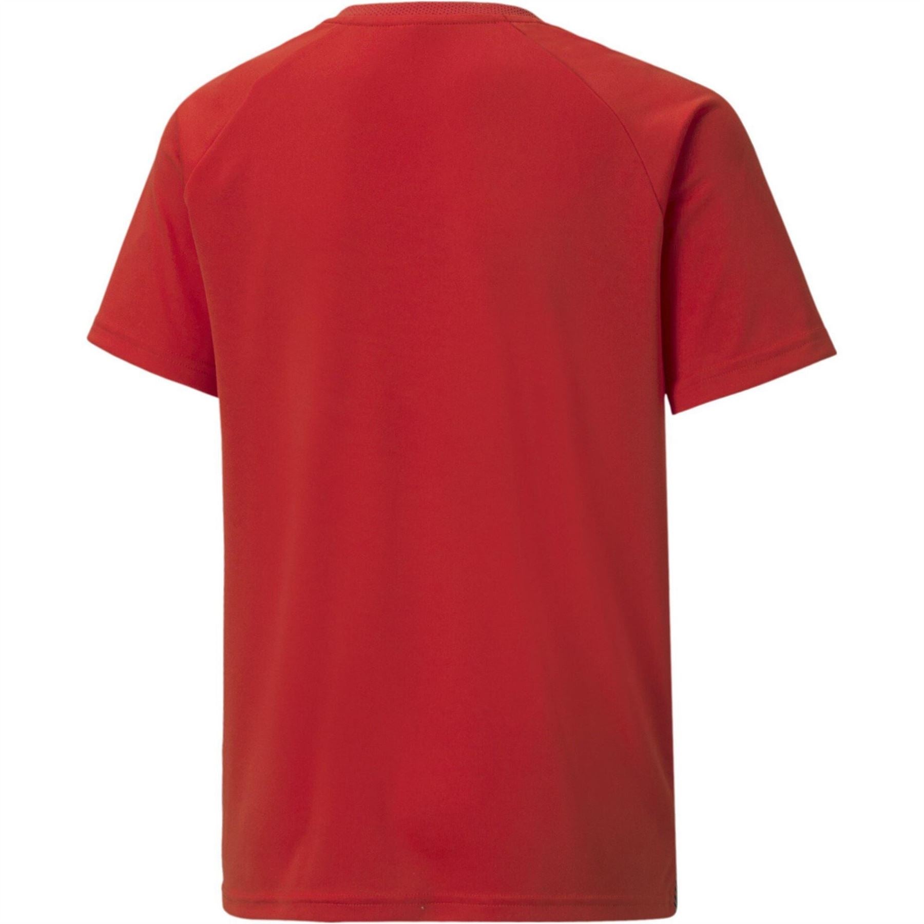 Puma Teamliga Striped Jersey Jr T-Shirt Unisex Kids