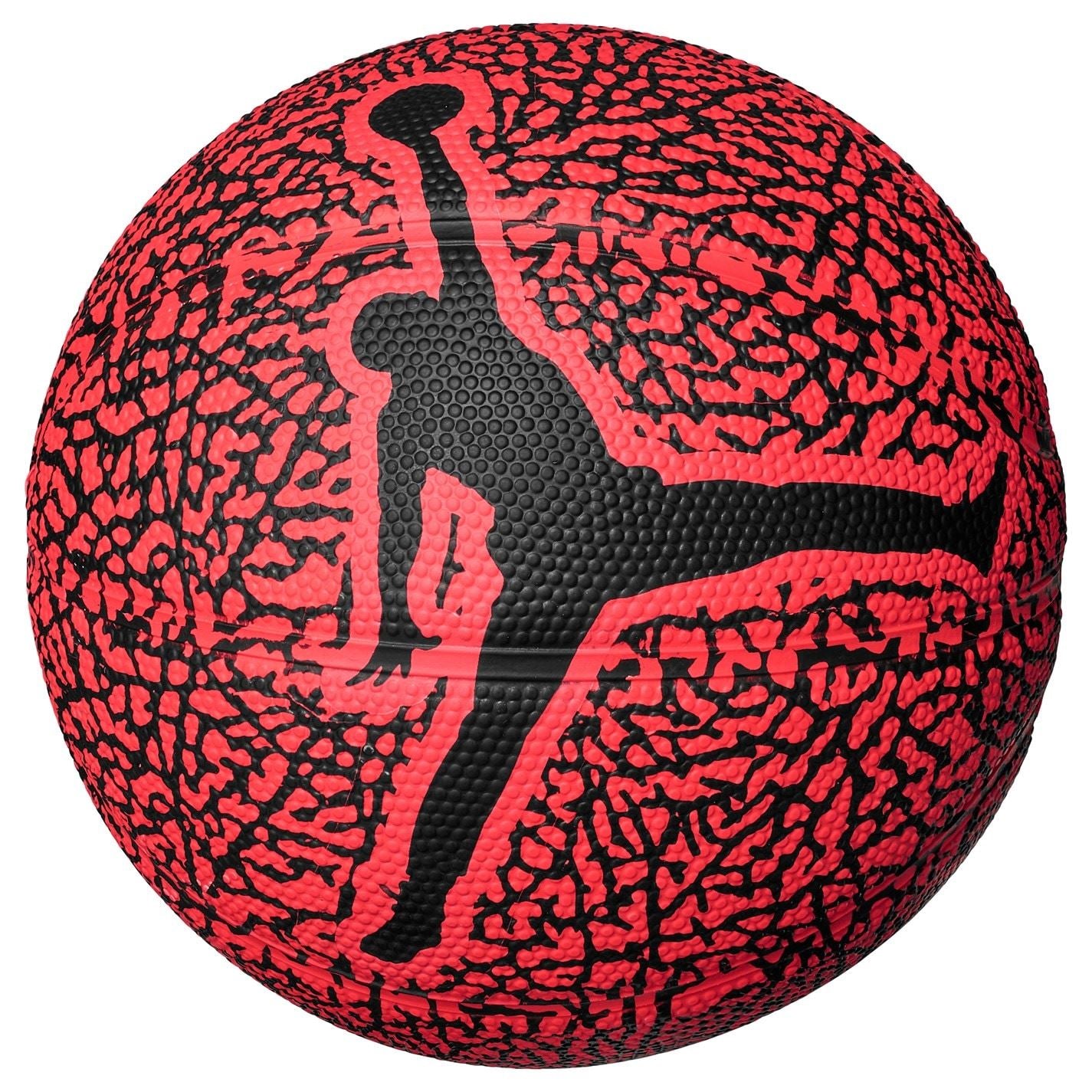 Air Jordan Adults Skills Graphic Basketballs