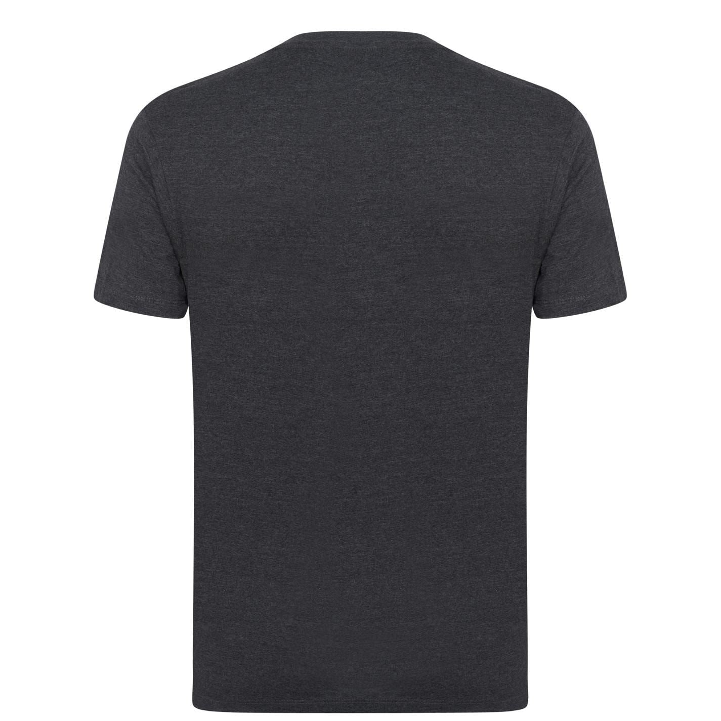 Golds Gym Mens Gym Muscle Joe T-Shirt