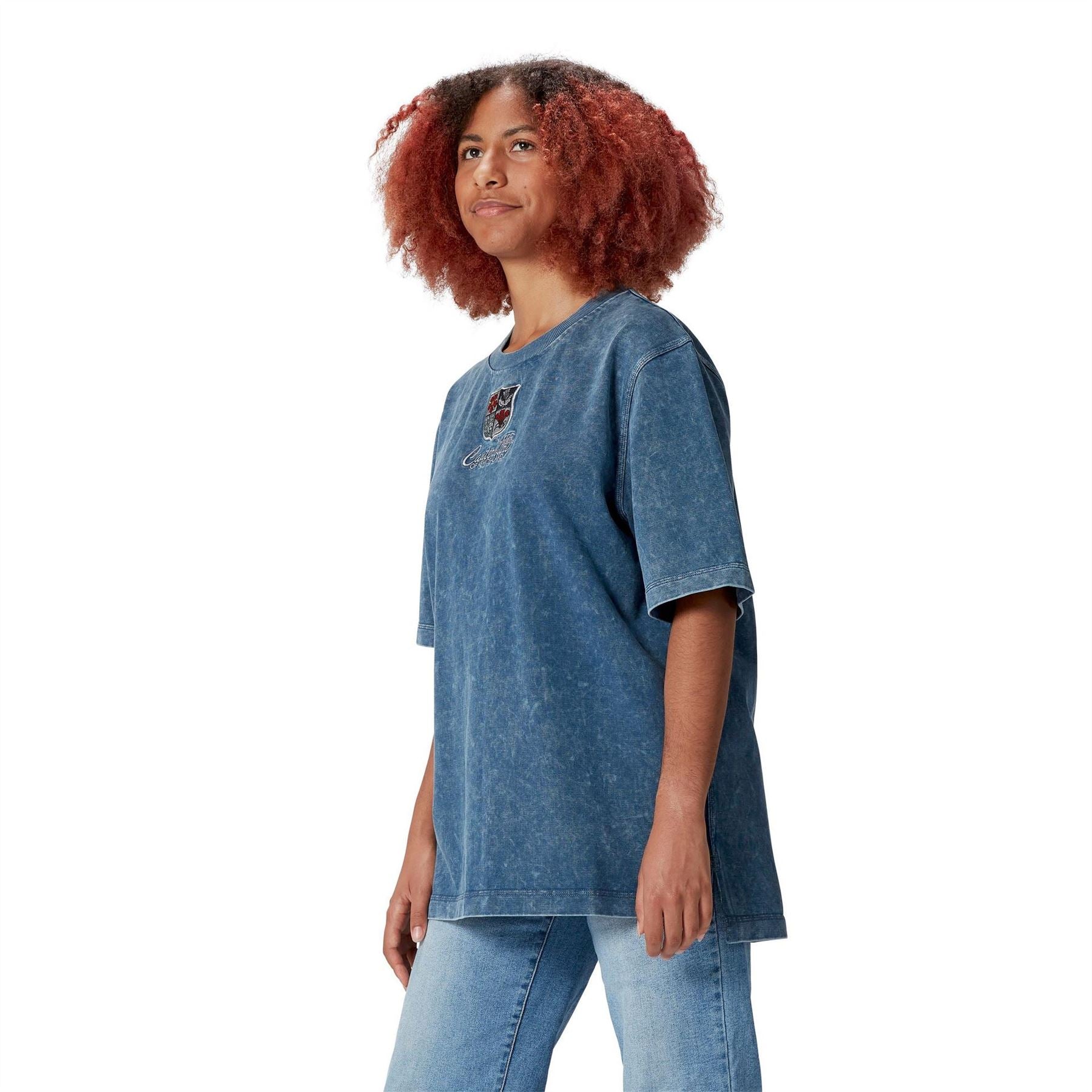 Canterbury Mens British  And  Irish Lions Heritage T-Shirt 2025