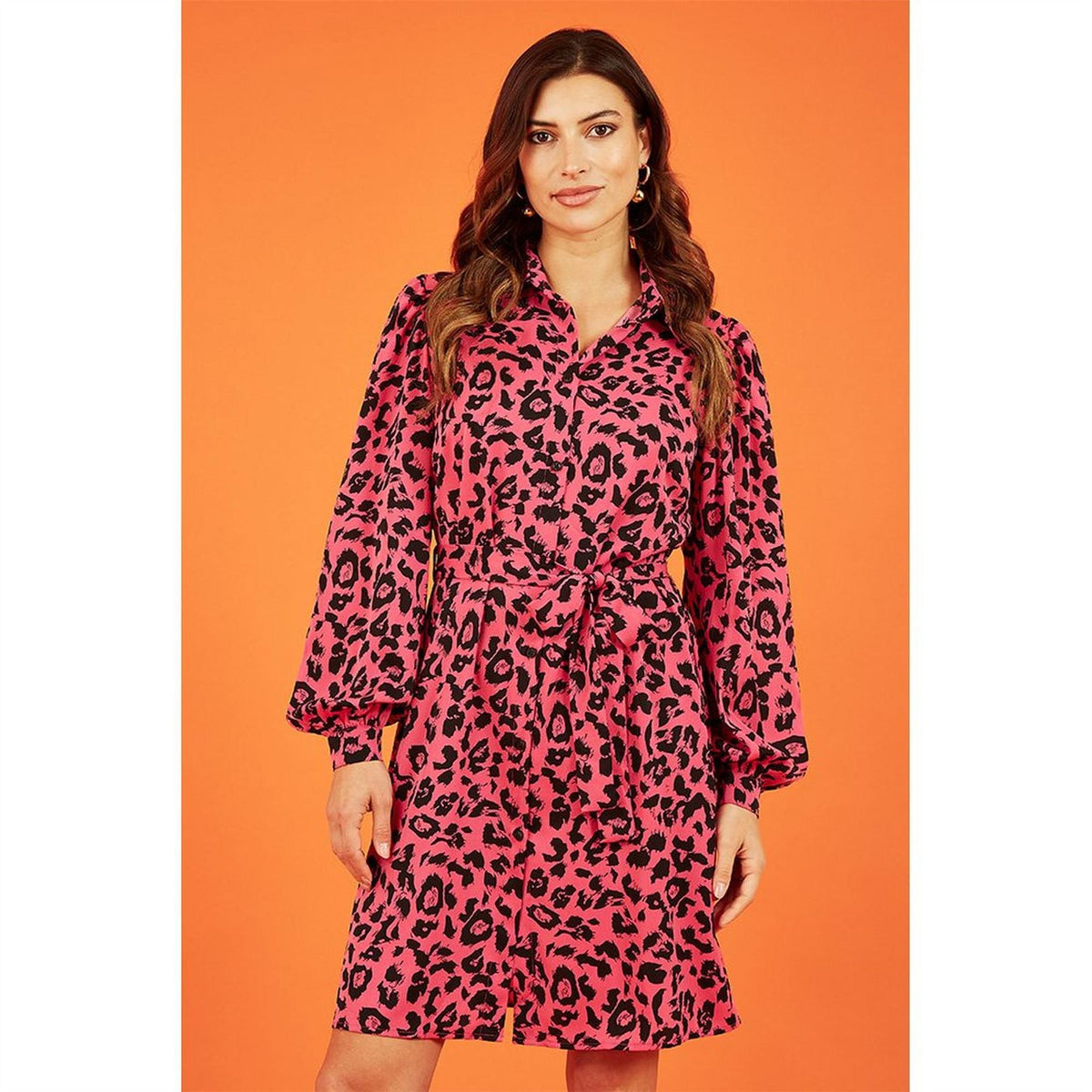 Mela London Animal Print Long Sleeve Dress