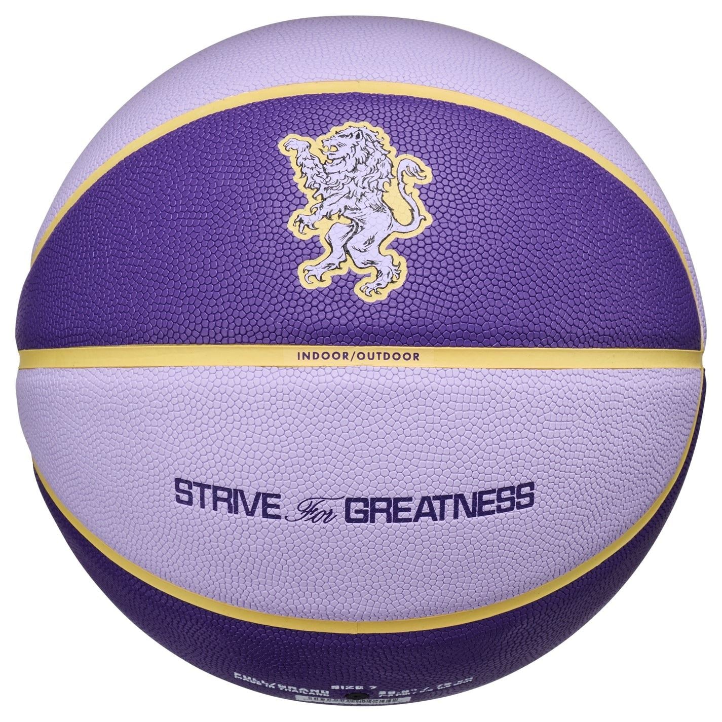 Nike Lebron All Court Basketball