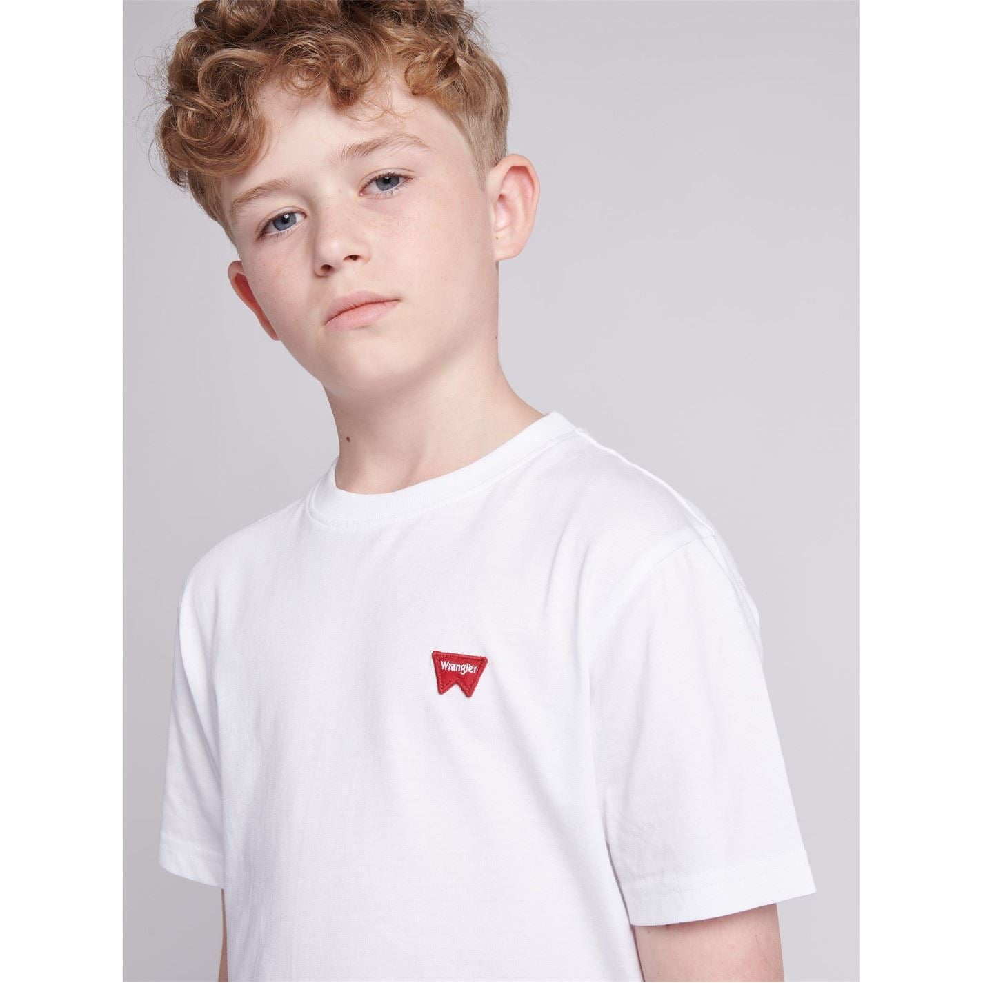 Wrangler Festival Badge Regular Fit T-Shirt