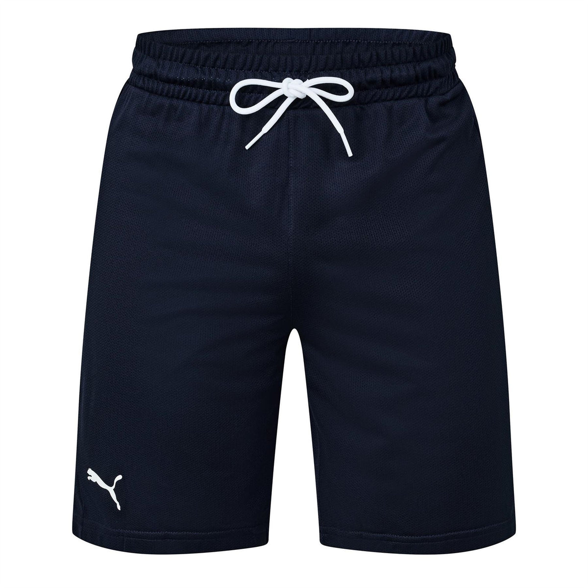 Puma Hoops Team Practice Basketball Shorts