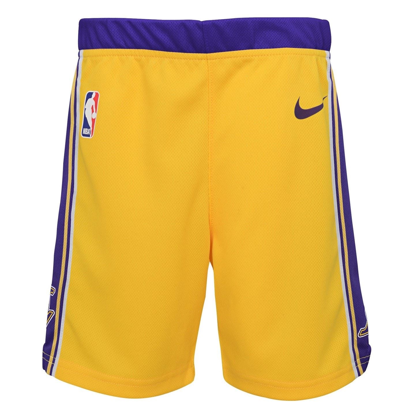 Nike Nba Swingmshort In54