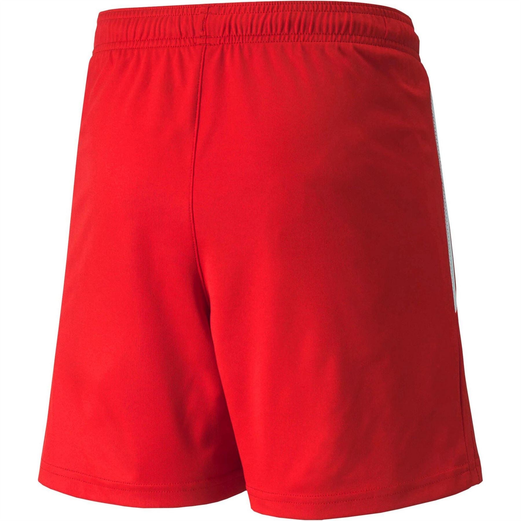 Puma Teamliga Shorts Jr Football Short Unisex Kids