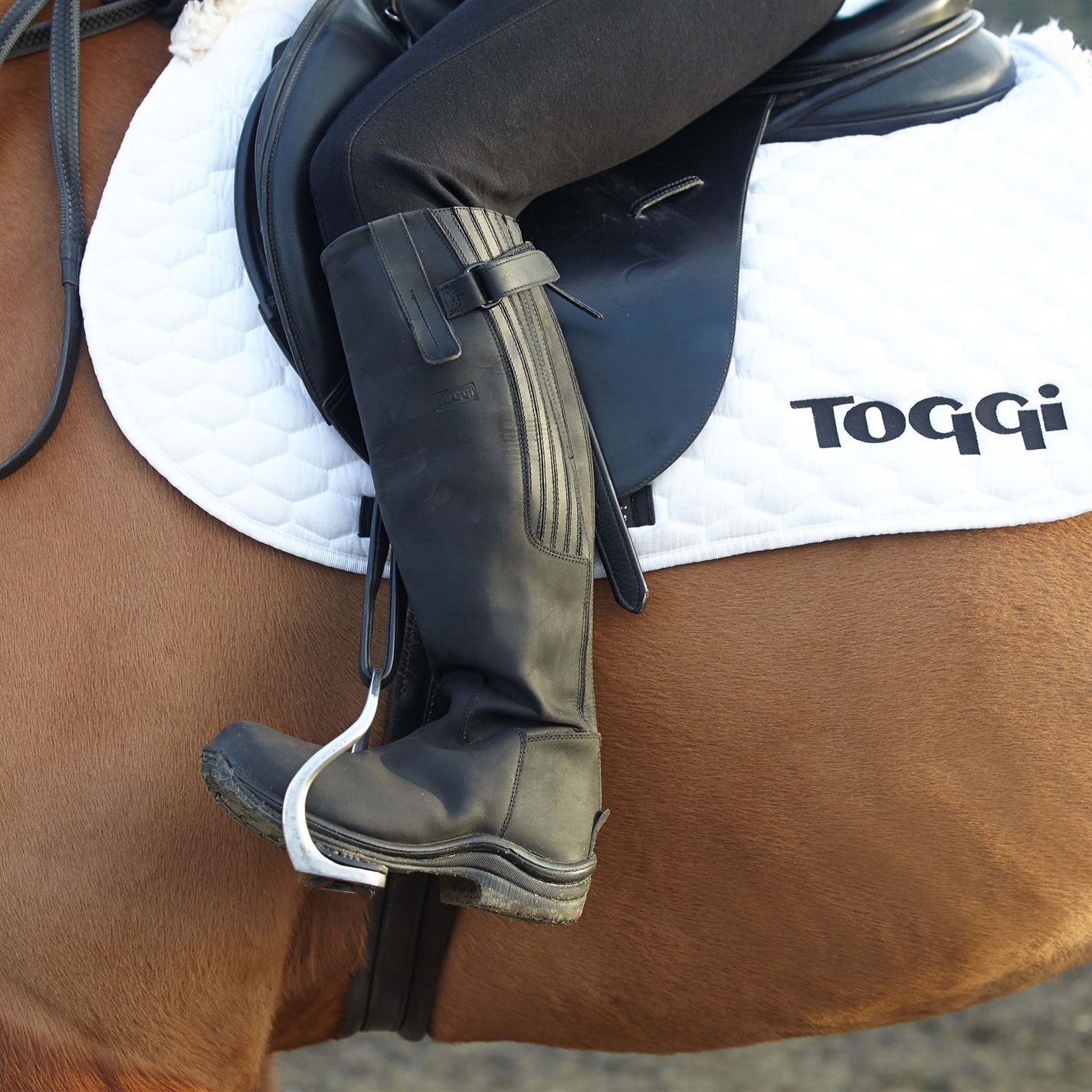 Toggi Calgary Long Riding Boots