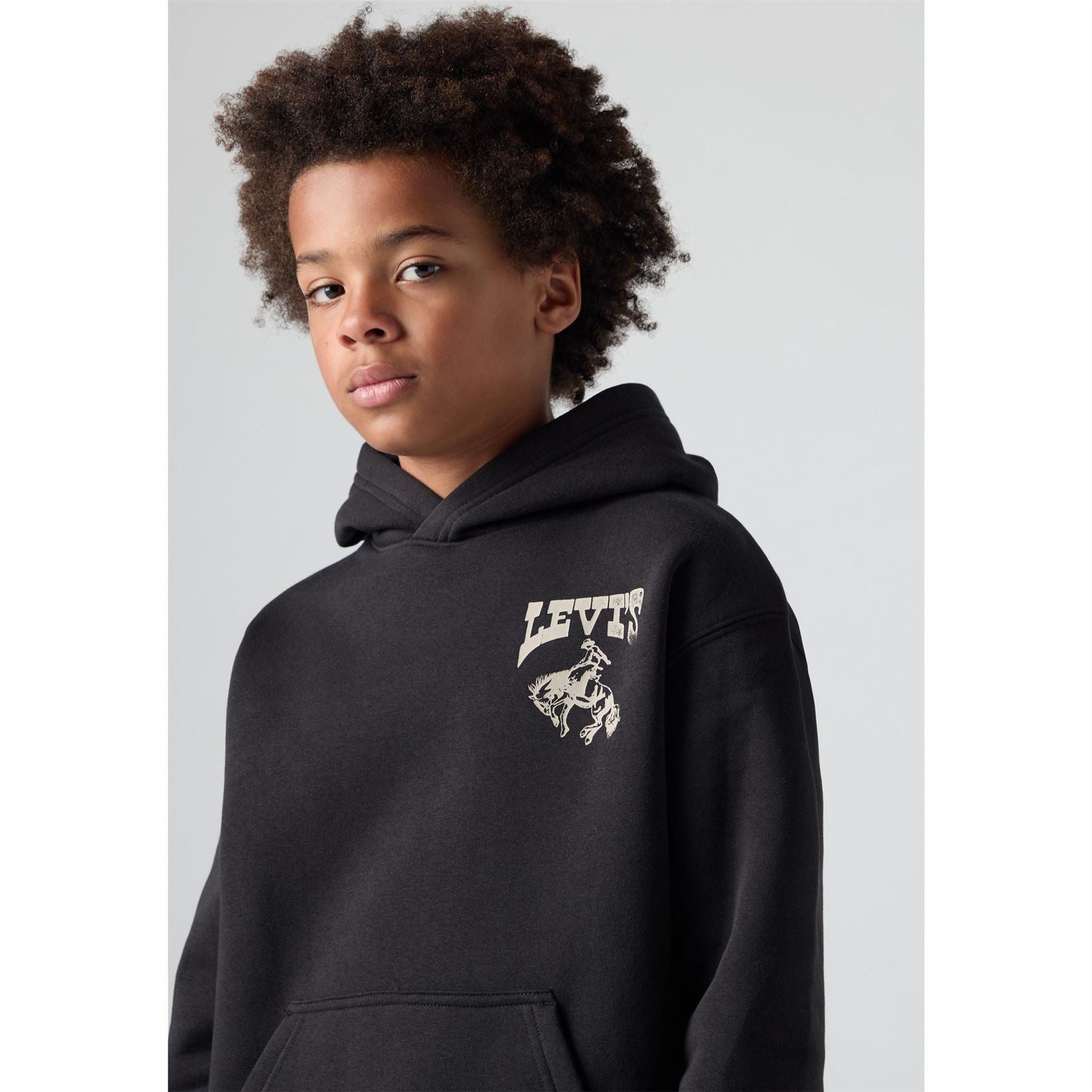 Levis Graphic Oth Jn54