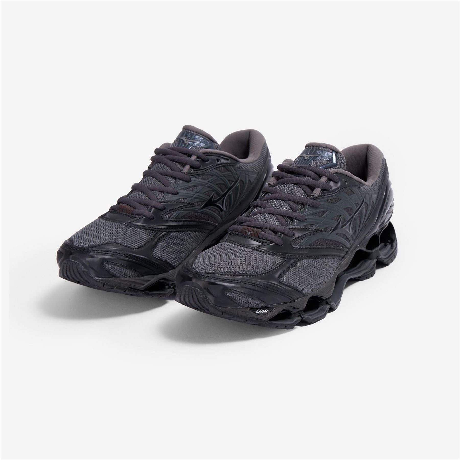 Mizuno Wave Prophecy