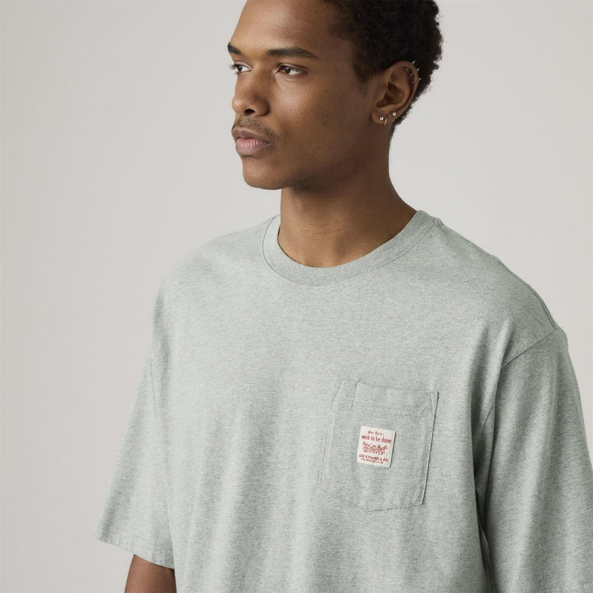 Levis Regular Fit Crew Neck Short Sleeve Text Graphic T-Shirt