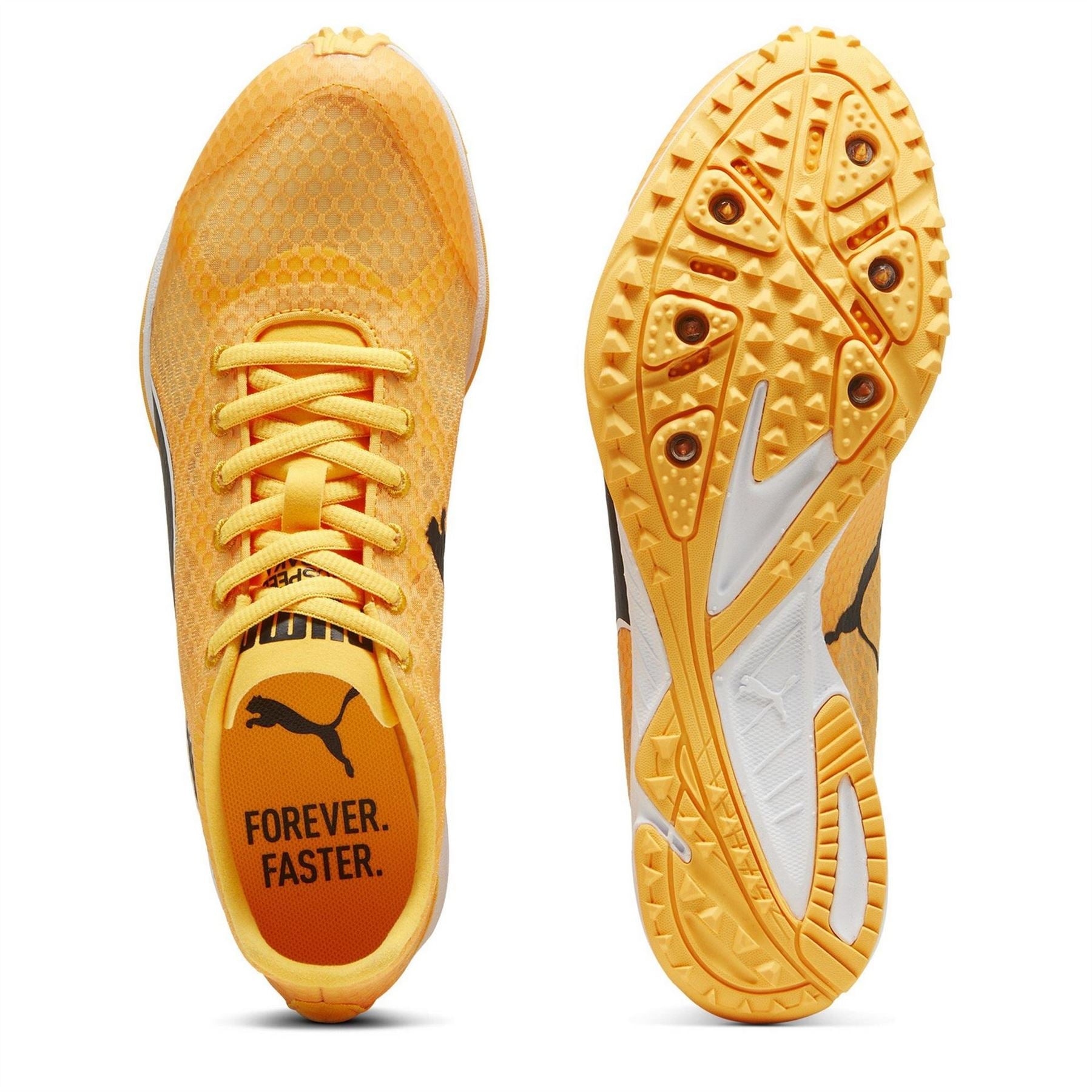 Puma Evospeed Haraka 8 Track Running Spikes