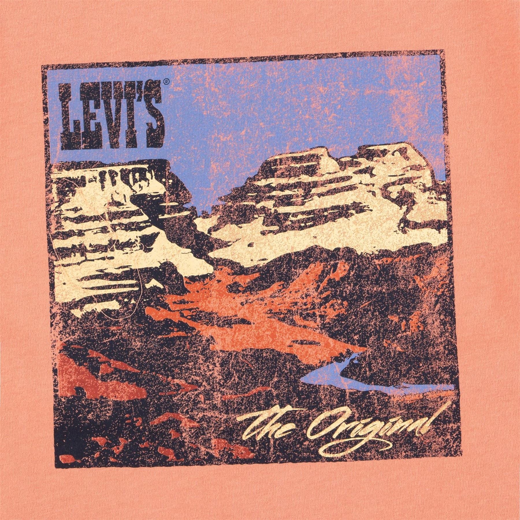 Levis Landscape Crew Neck Short Sleeve T-Shirt