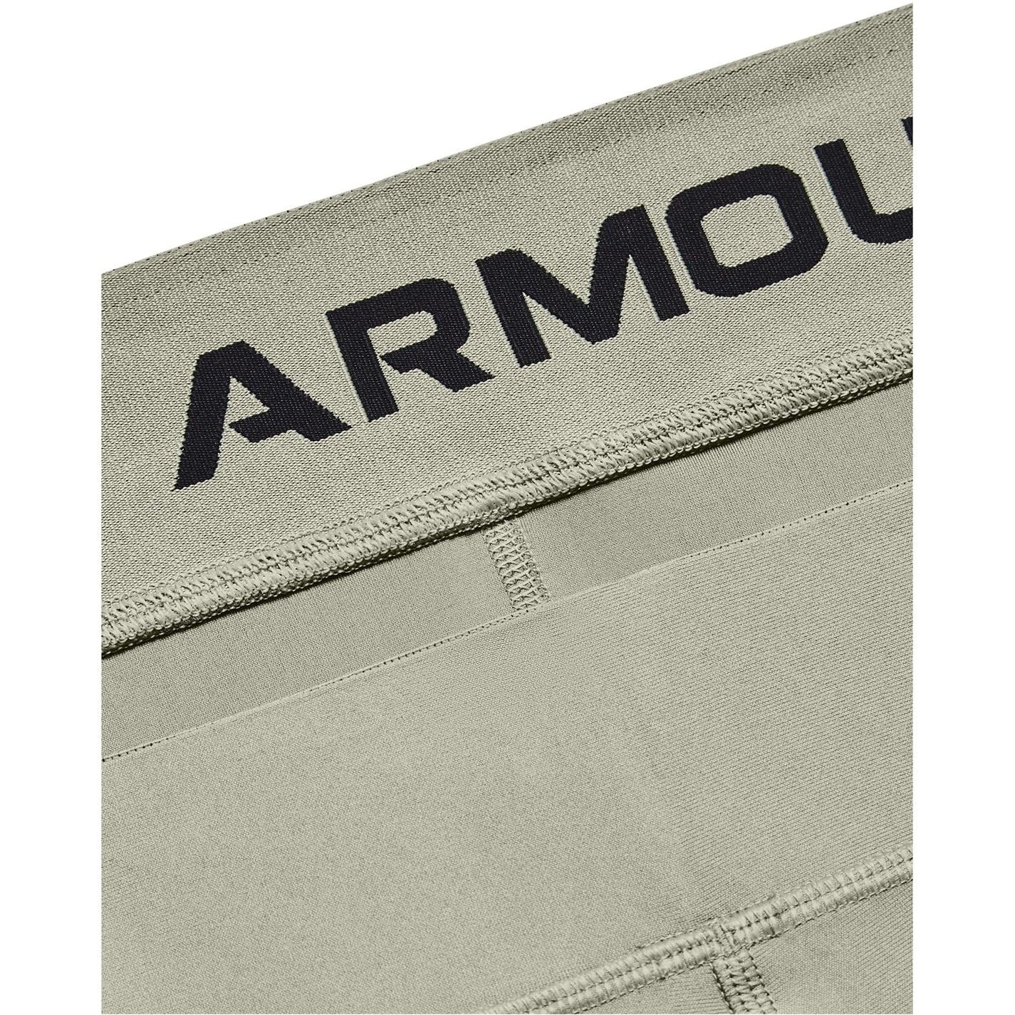 Under Armour Womens Heatgear Mid Shortsy Shorts