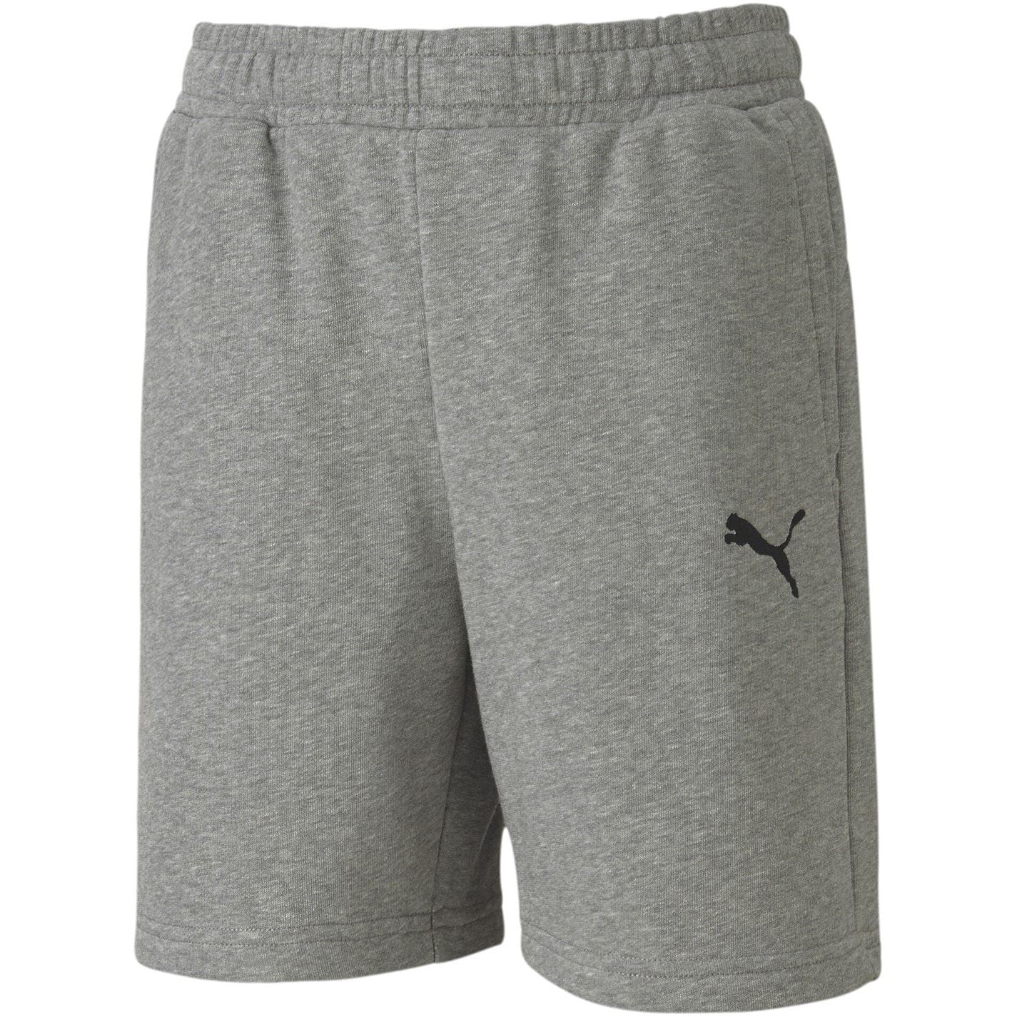 Puma Teamgoal 23 Casuals Jogger Shorts